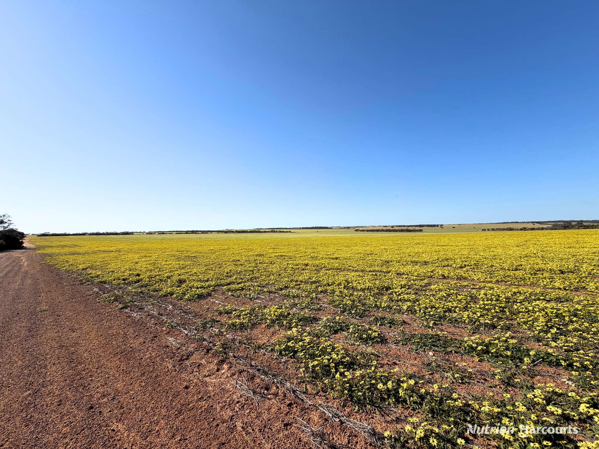 Lot 14044 Goomarin Road, Nukarni Auction by Farmbuy.com - image 7