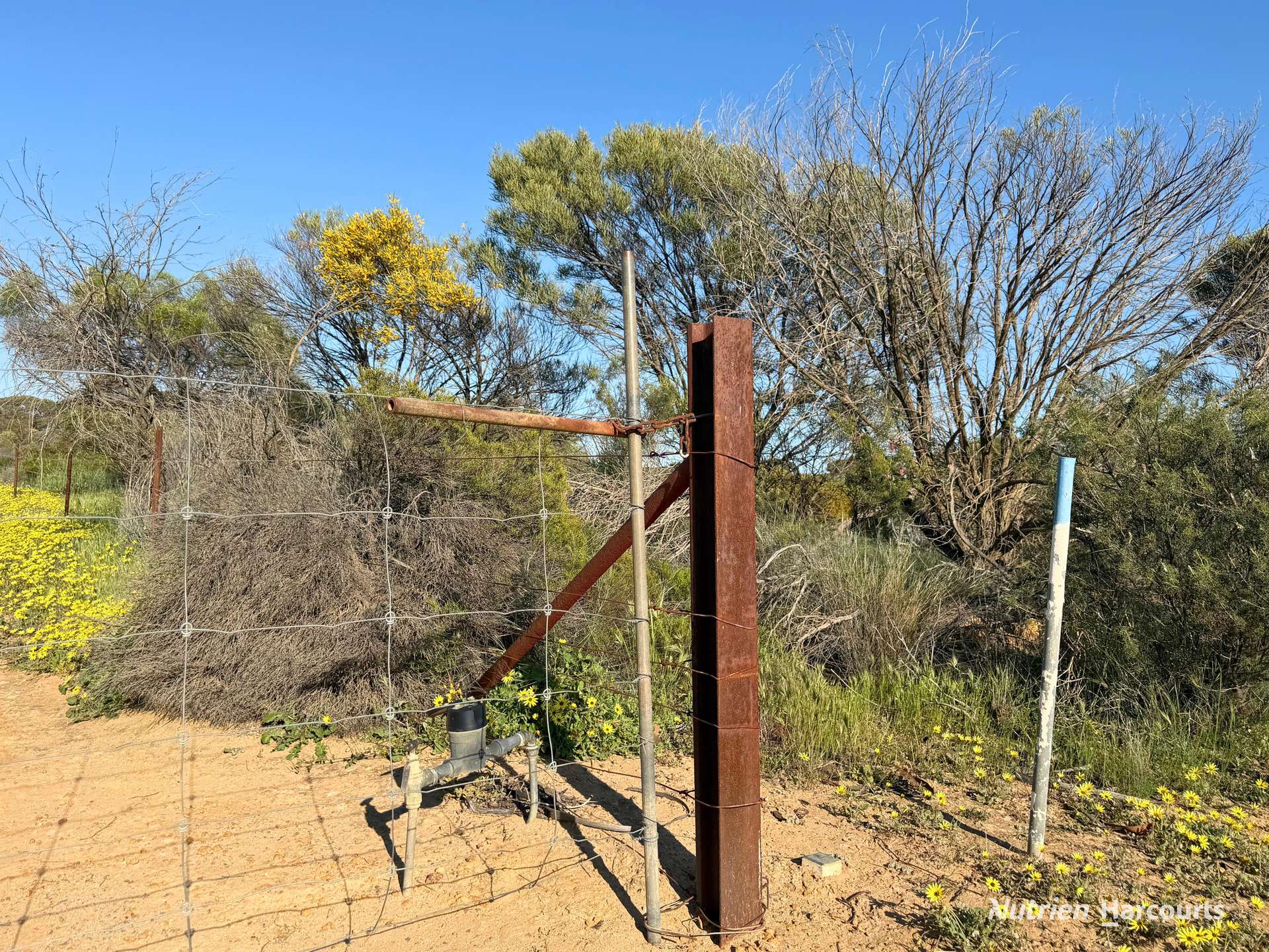 Lot 14044 Goomarin Road, Nukarni Auction by Farmbuy.com - image 13