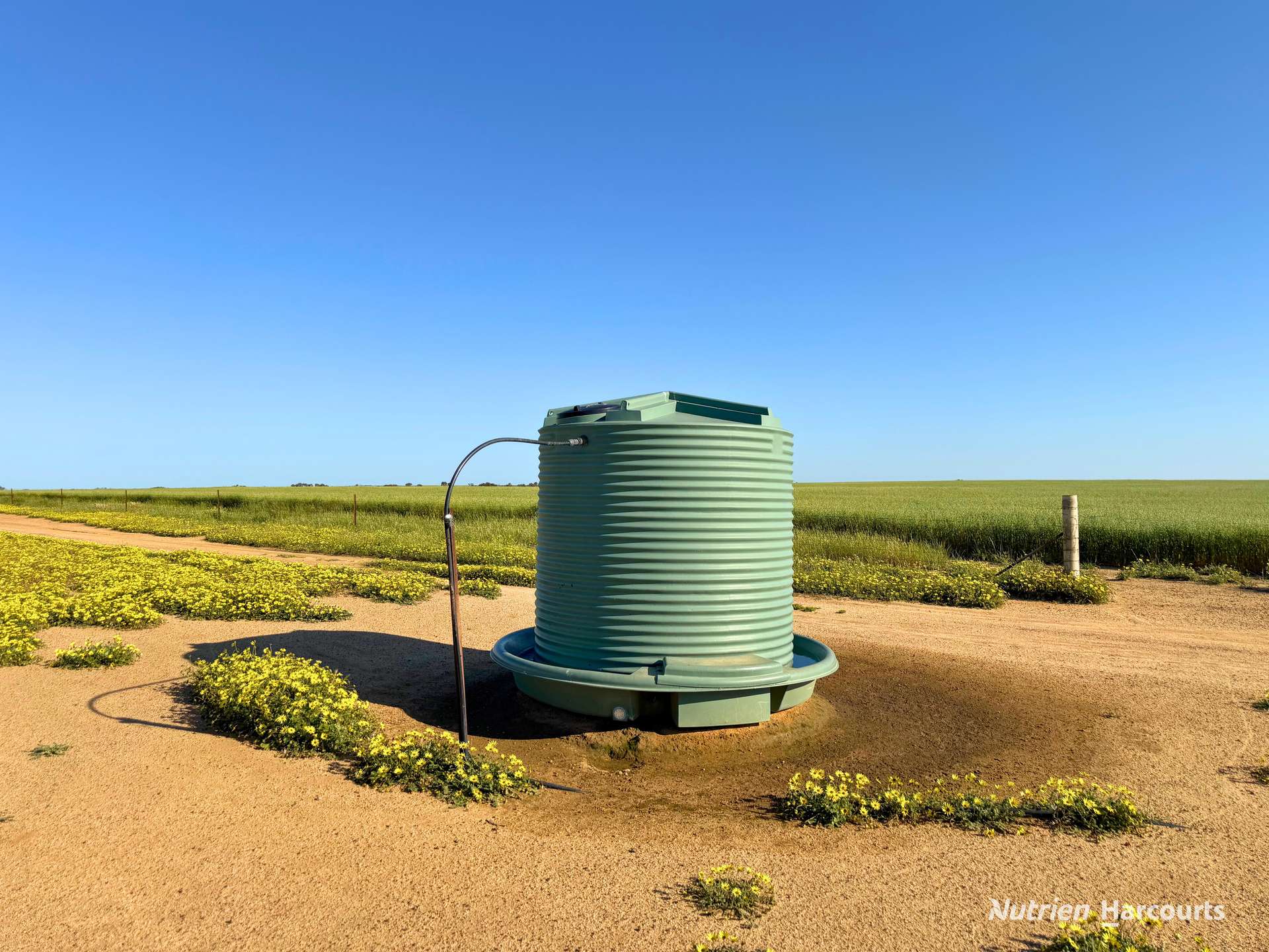 Lot 14044 Goomarin Road, Nukarni Auction by Farmbuy.com - image 18
