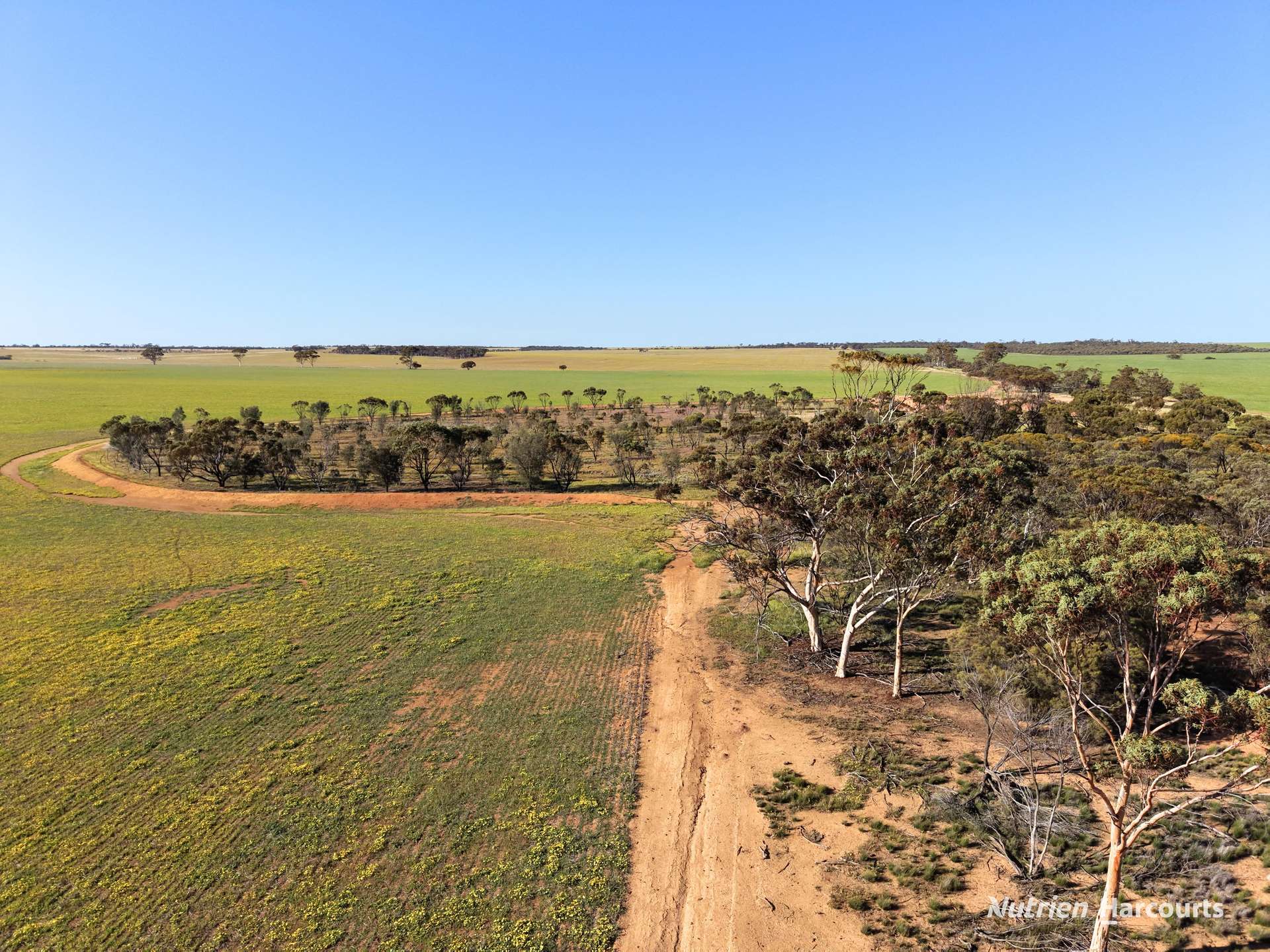 Lot 14044 Goomarin Road, Nukarni Auction by Farmbuy.com - image 12