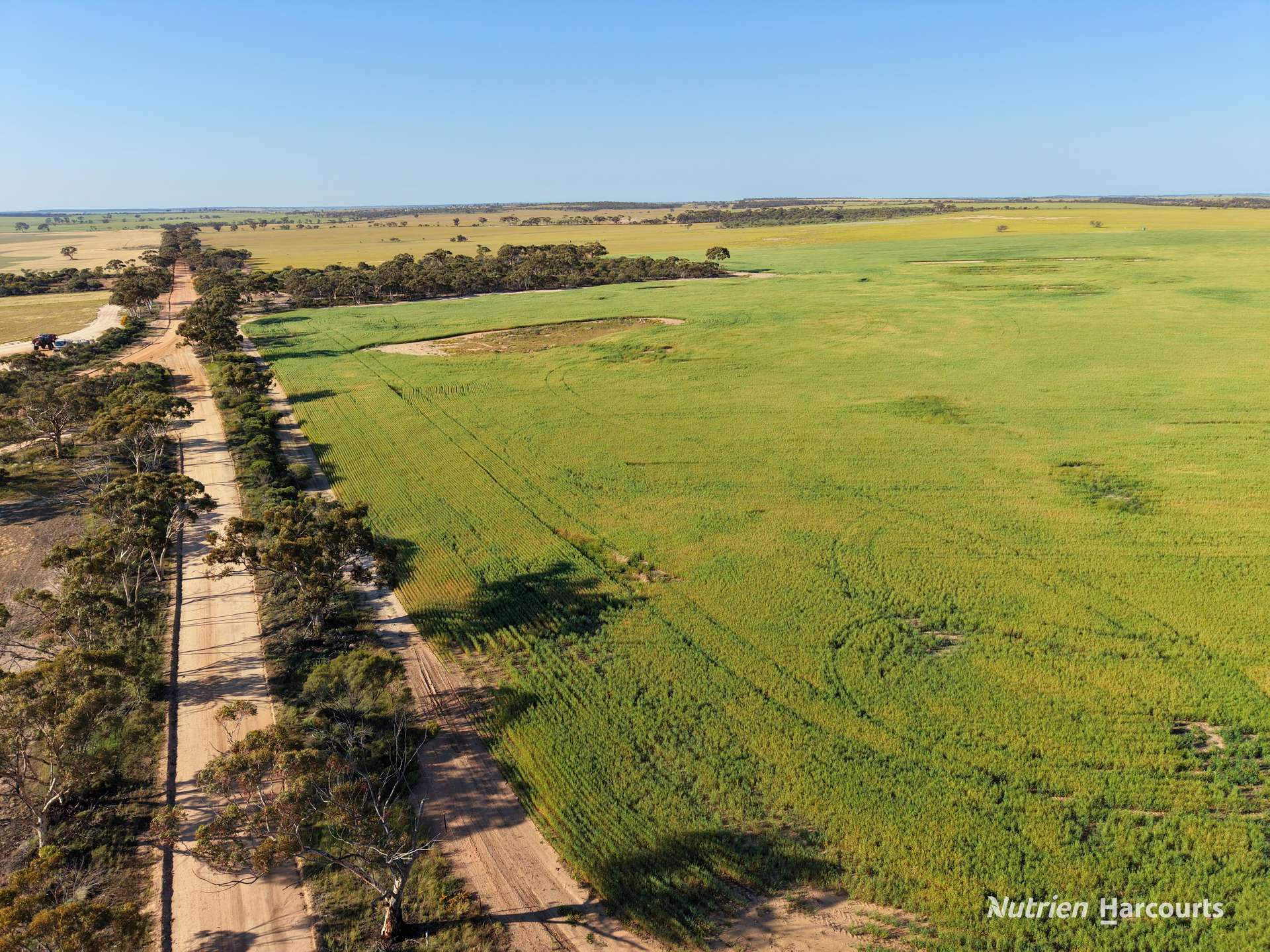 Lot 14044 Goomarin Road, Nukarni Auction by Farmbuy.com - image 4