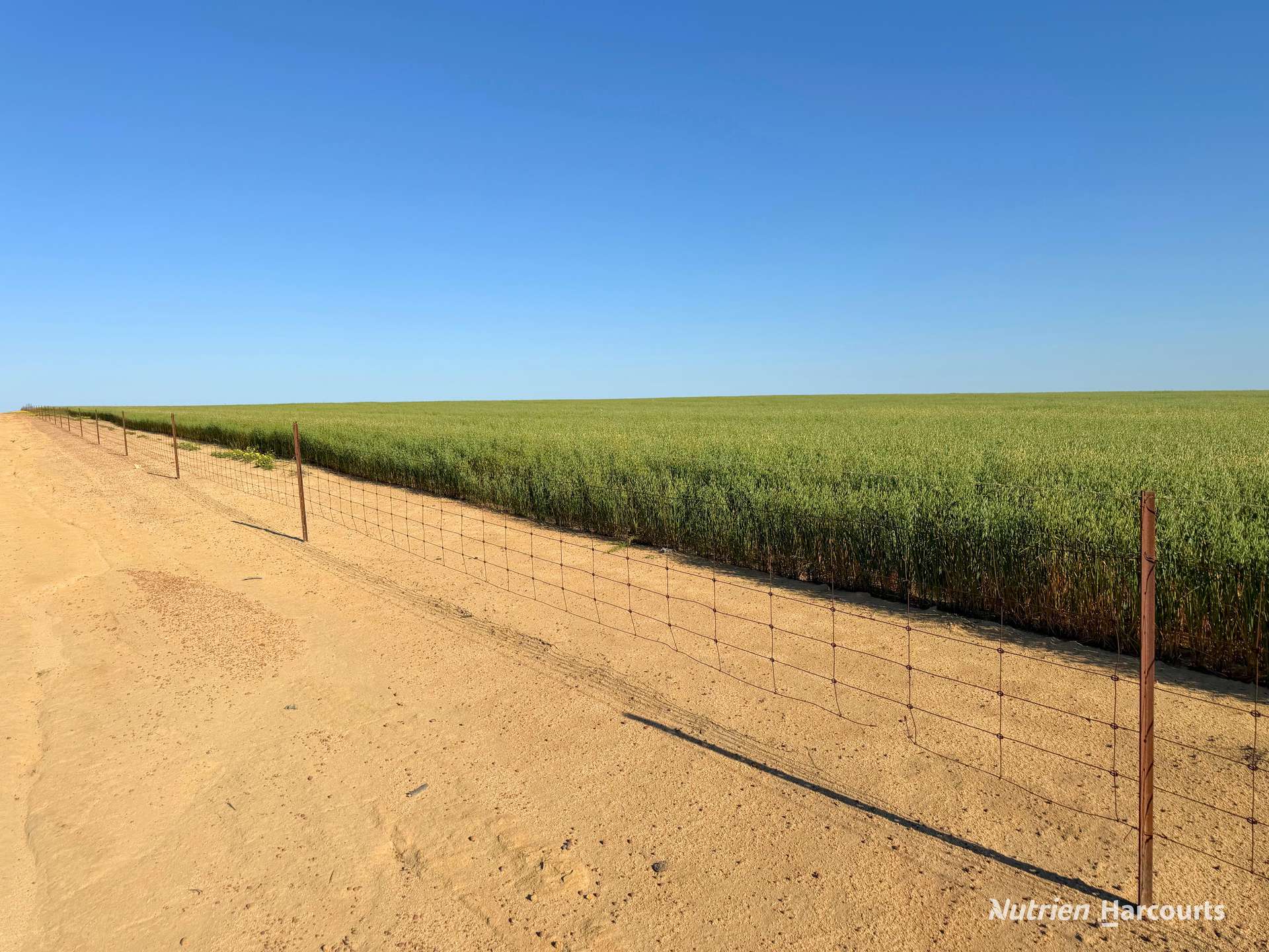 Lot 14044 Goomarin Road, Nukarni Auction by Farmbuy.com - image 2