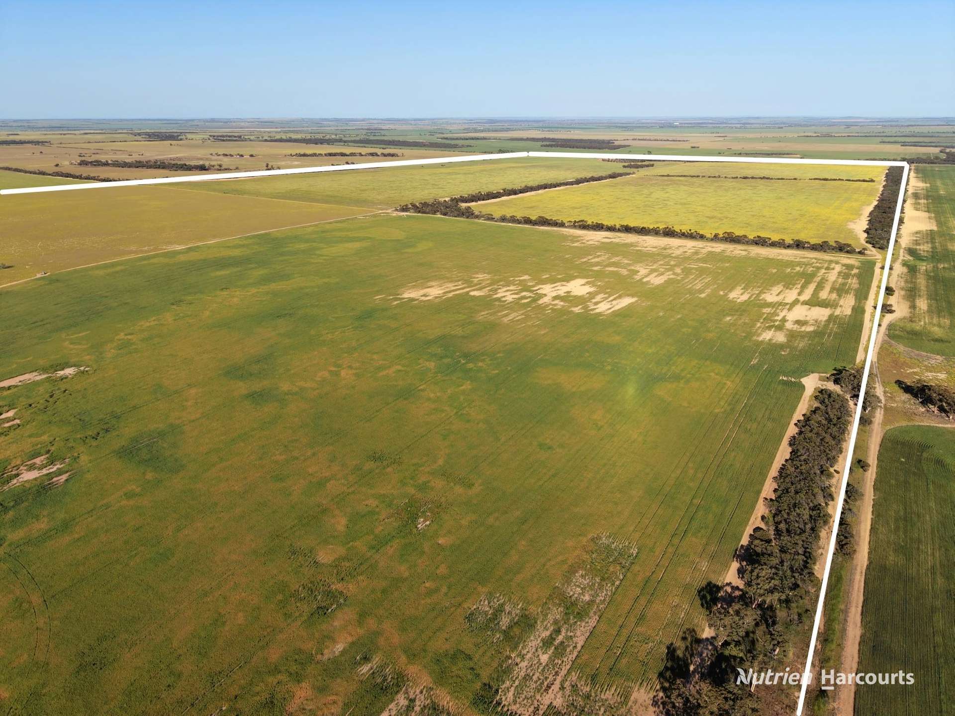 Lot 14044 Goomarin Road, Nukarni Auction by Farmbuy.com - image 8