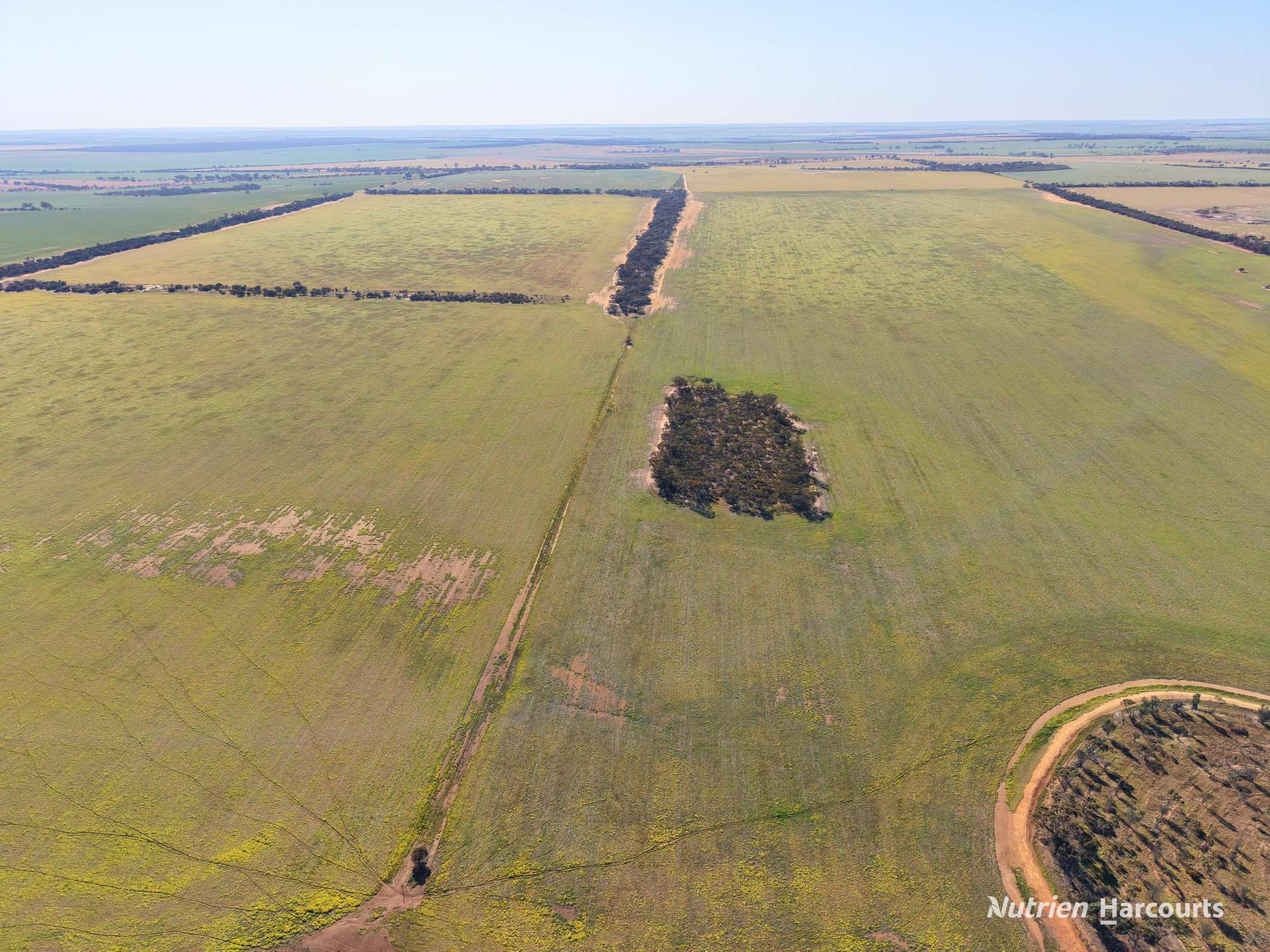 Lot 14044 Goomarin Road, Nukarni Auction by Farmbuy.com - image 15
