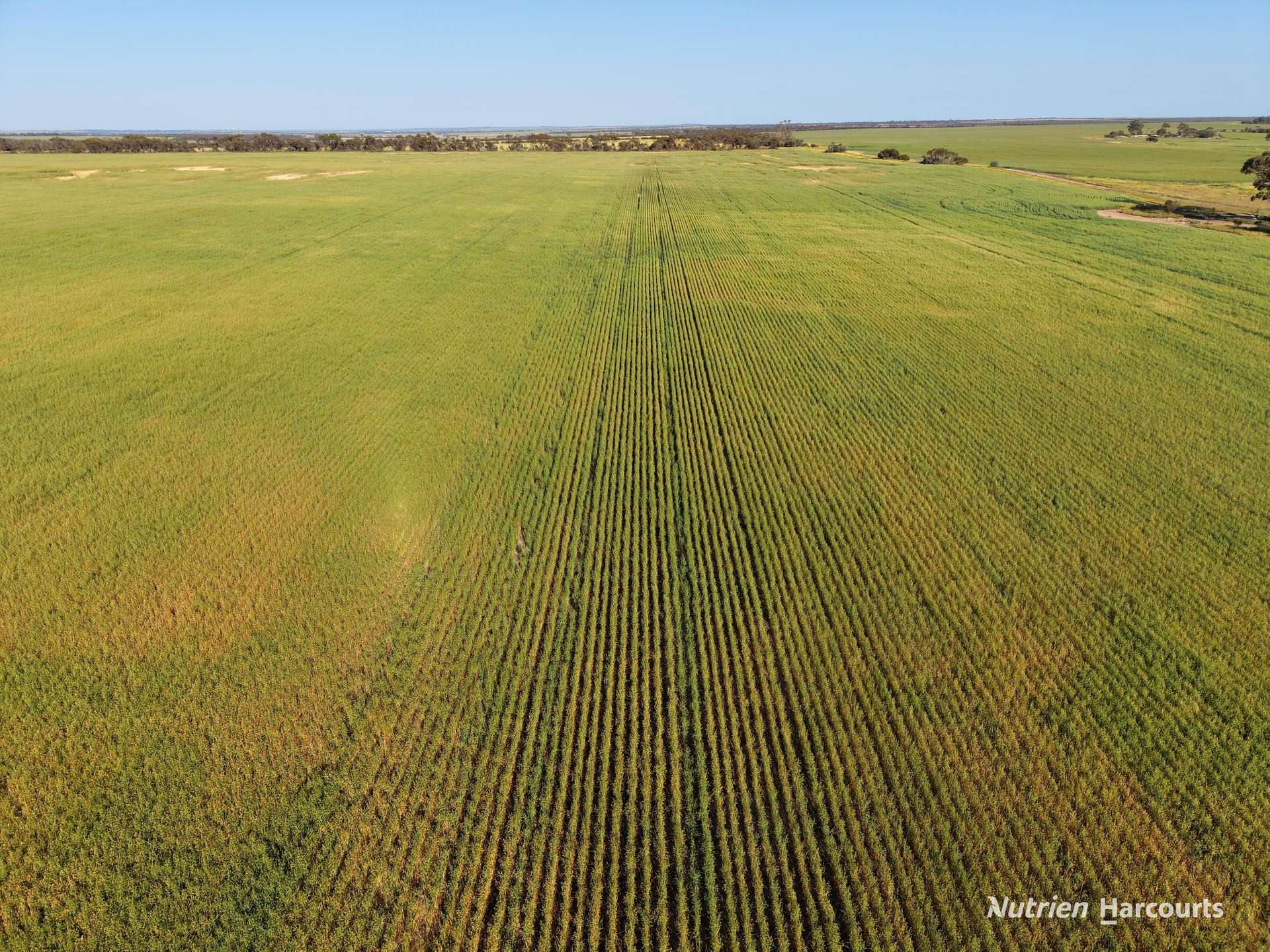 Lot 14044 Goomarin Road, Nukarni Auction by Farmbuy.com - image 5