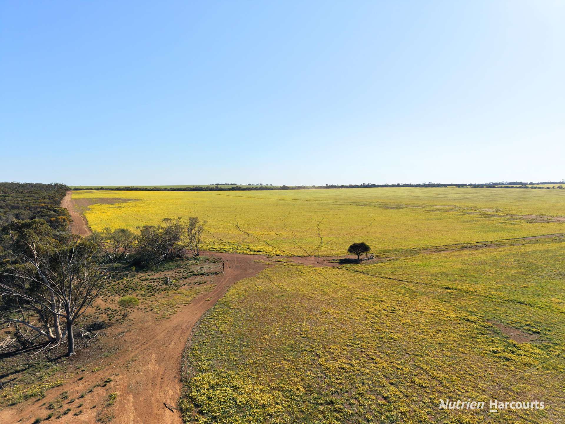 Lot 14044 Goomarin Road, Nukarni Auction by Farmbuy.com - image 10