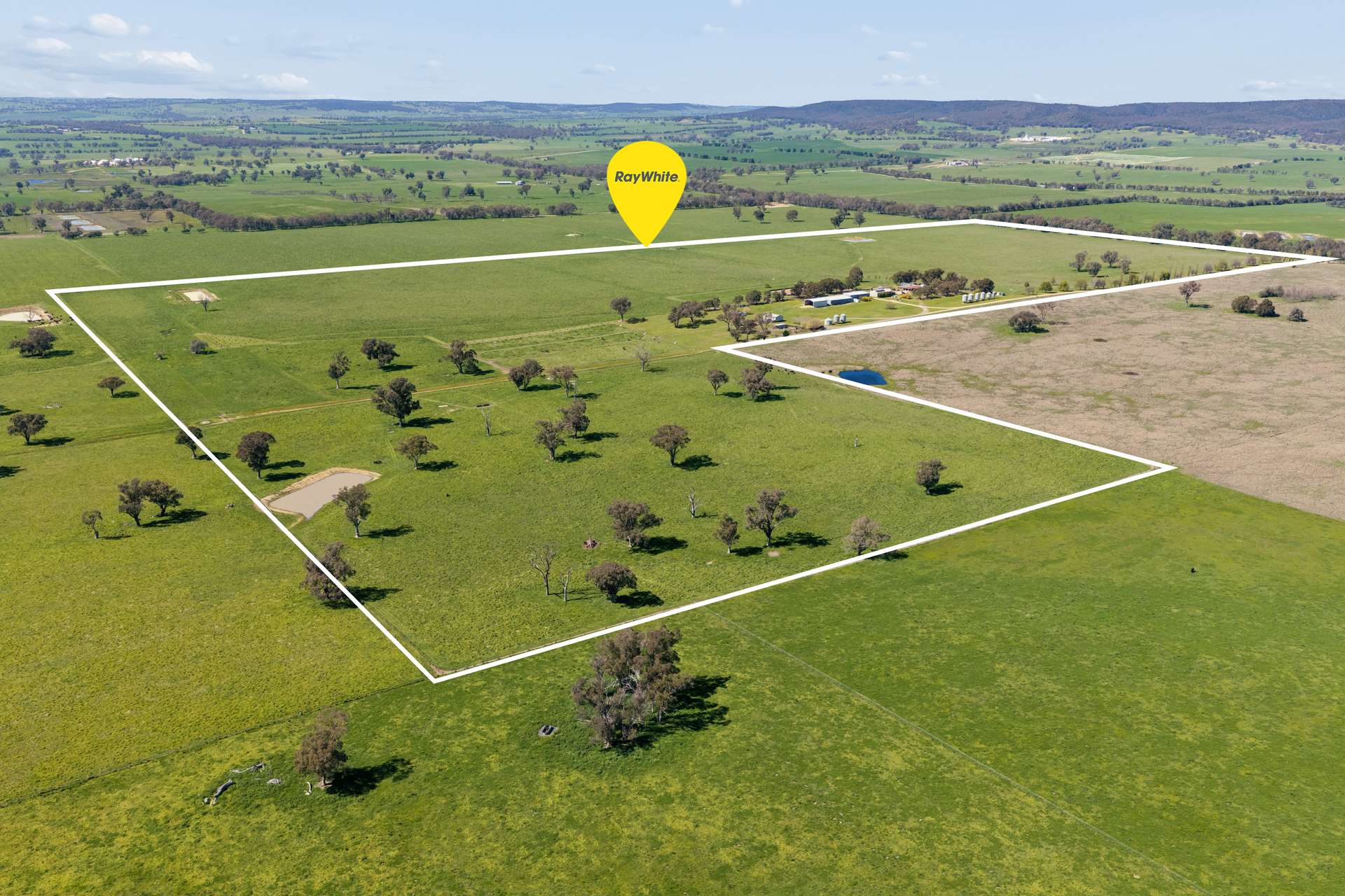 3280 Murringo Road, Young Auction by Farmbuy.com - image 2
