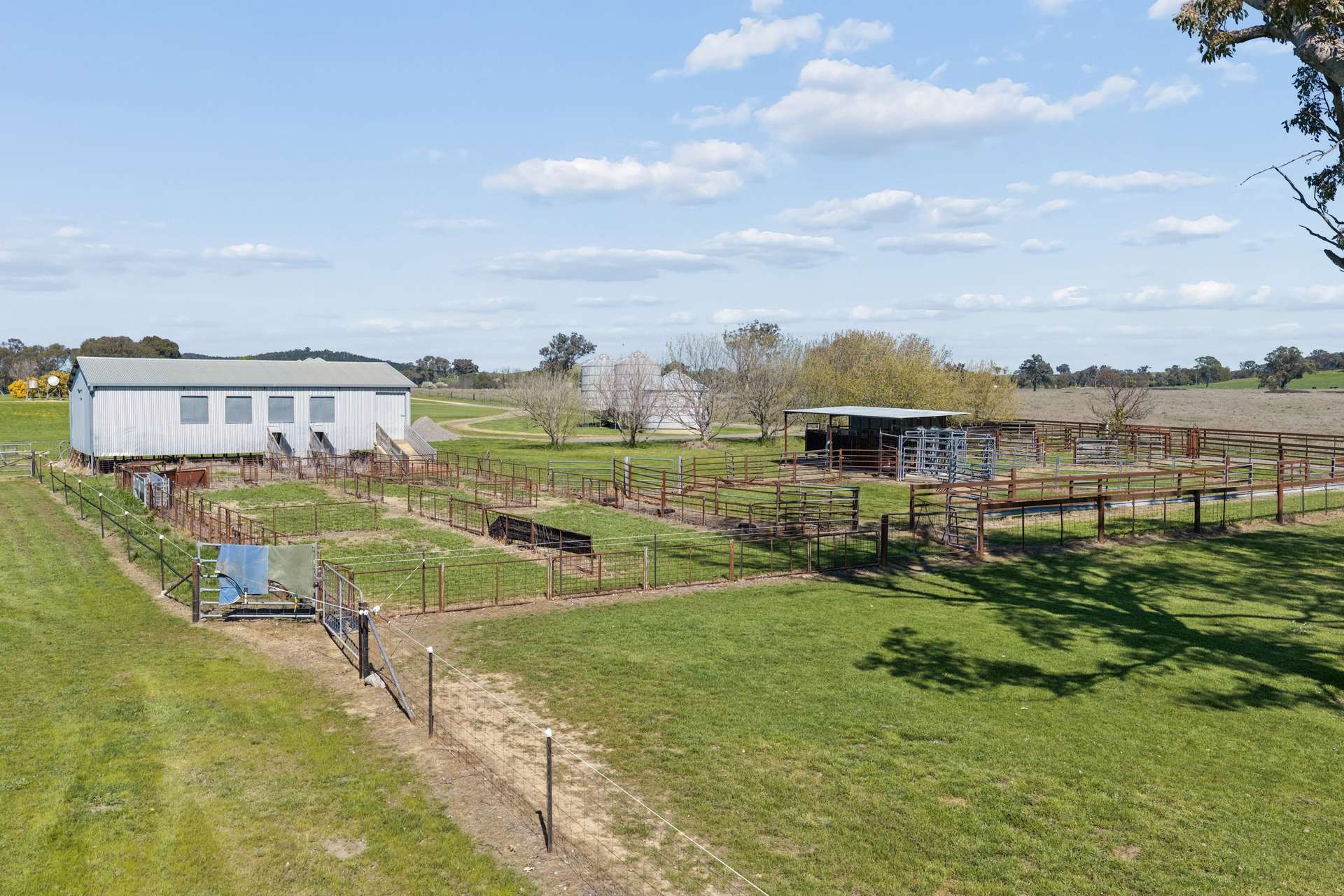 3280 Murringo Road, Young Auction by Farmbuy.com - image 20