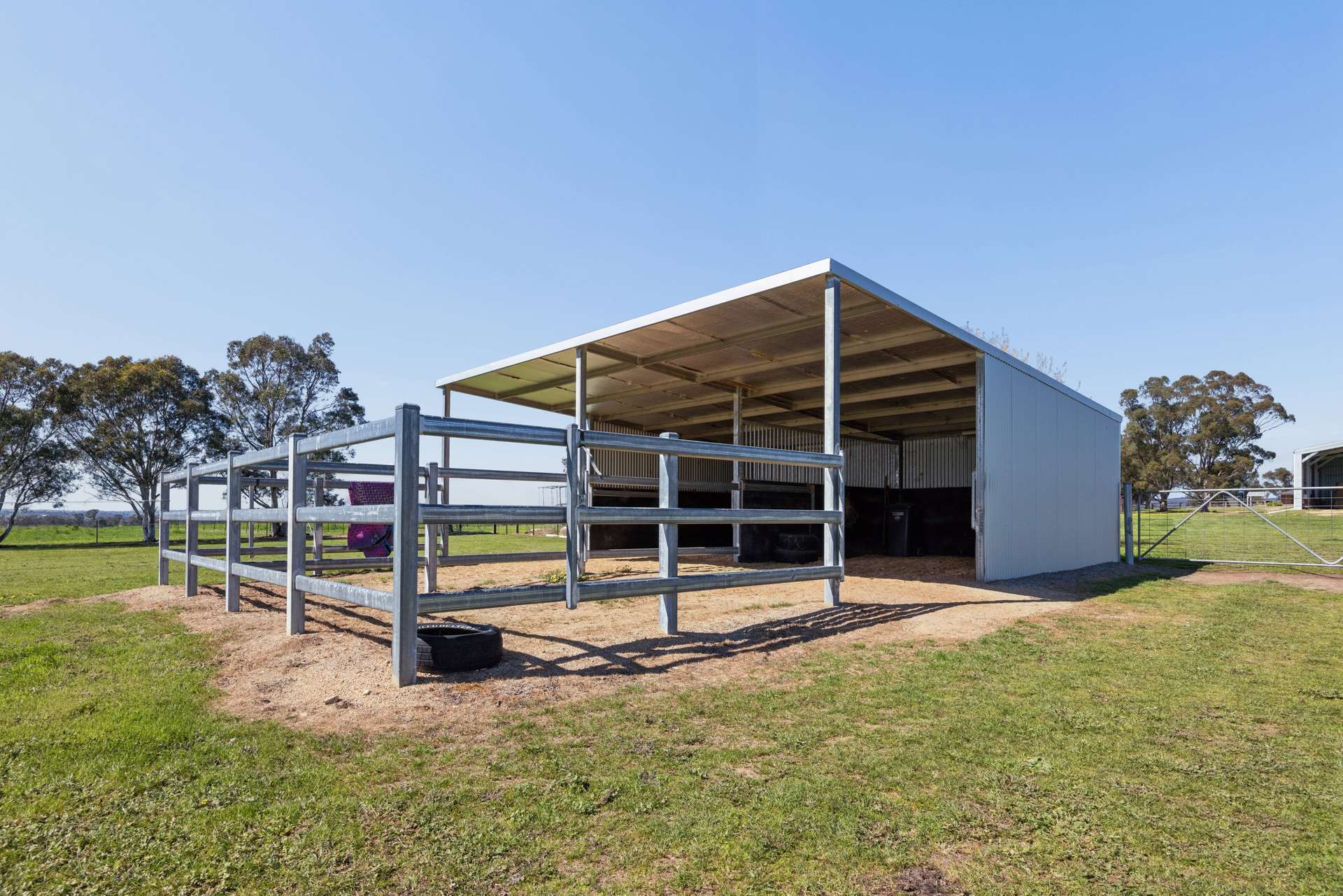 3280 Murringo Road, Young Auction by Farmbuy.com - image 15