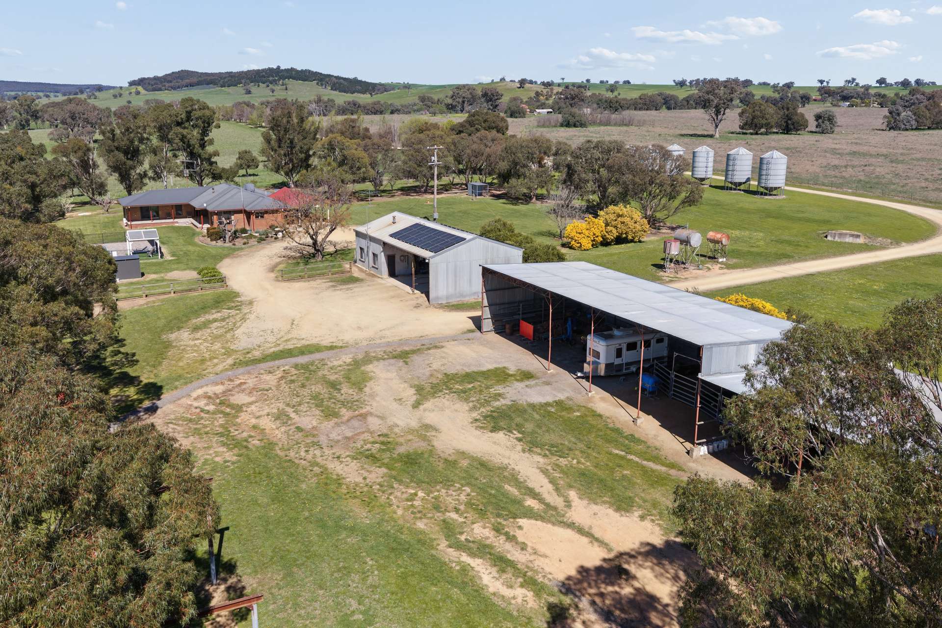 3280 Murringo Road, Young Auction by Farmbuy.com - image 23