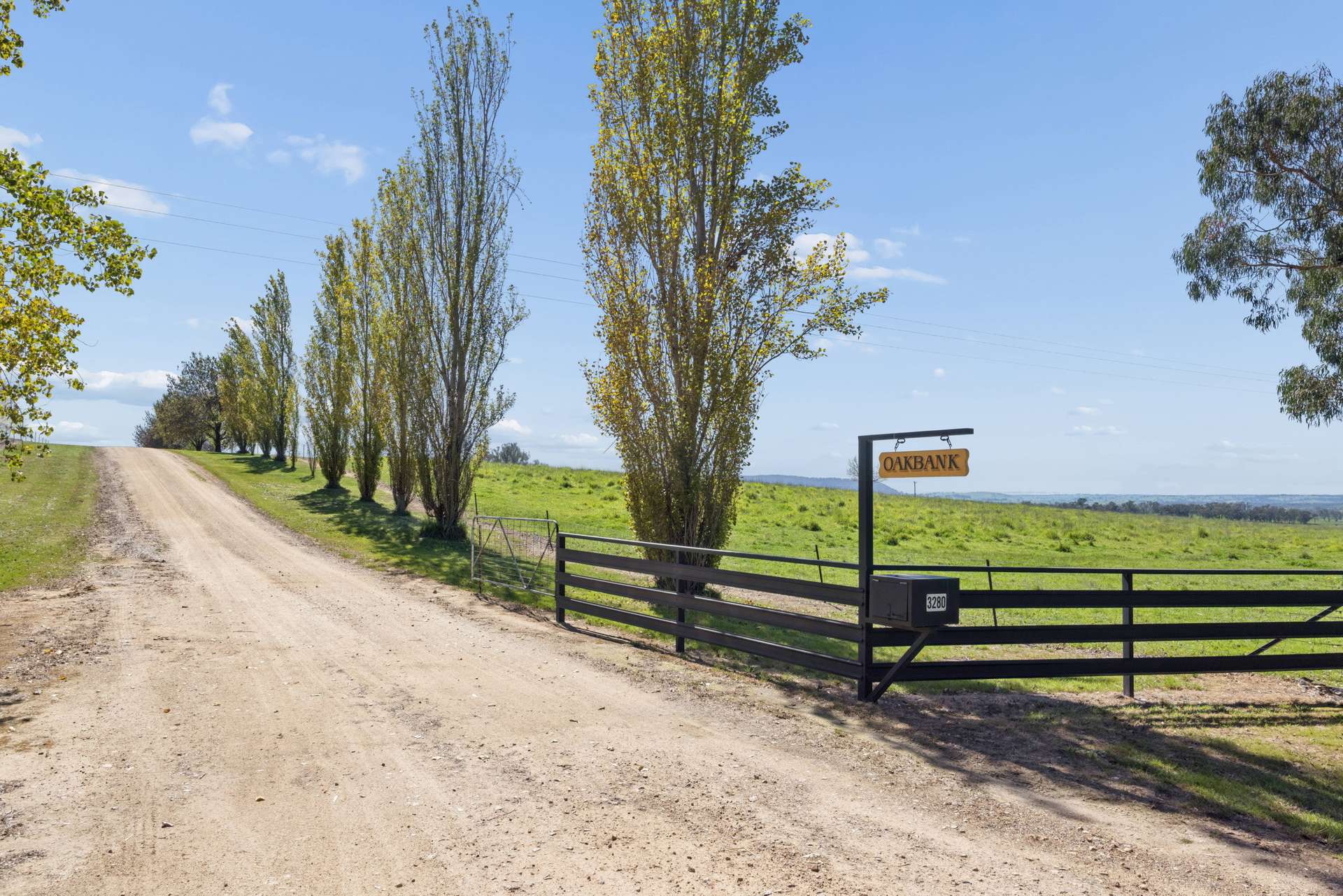 3280 Murringo Road, Young Auction by Farmbuy.com - image 28