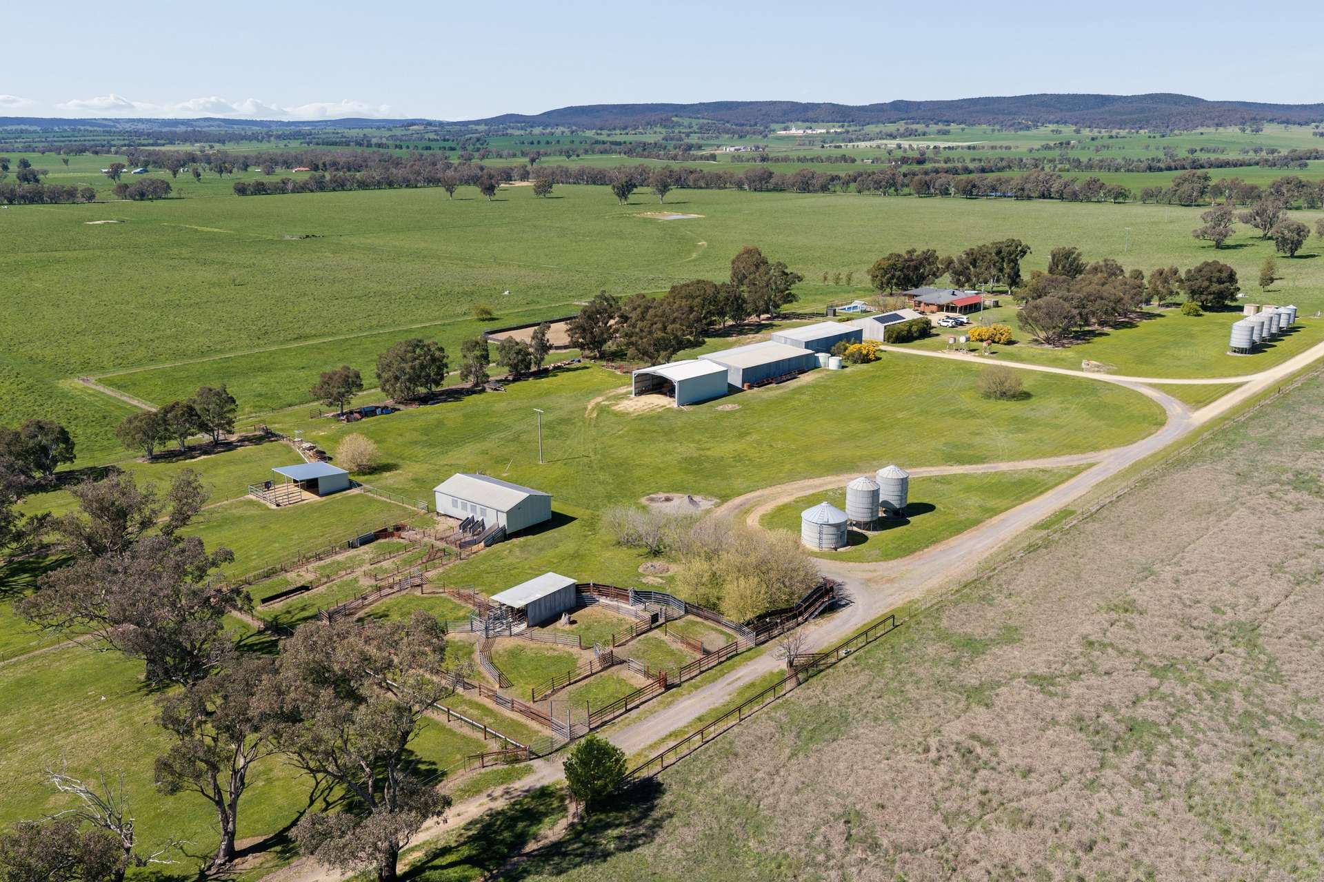3280 Murringo Road, Young Auction by Farmbuy.com - image 17