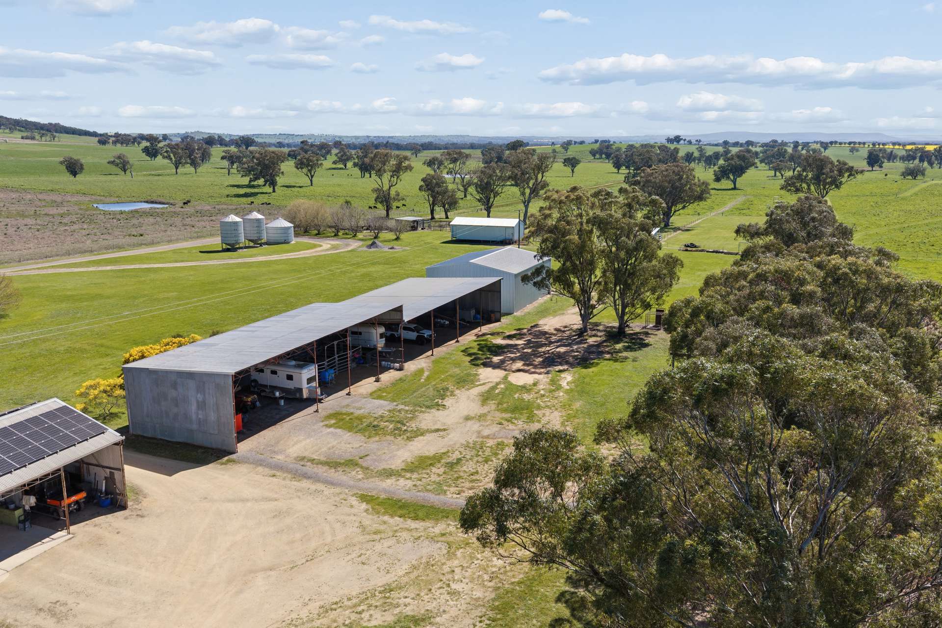3280 Murringo Road, Young Auction by Farmbuy.com - image 21