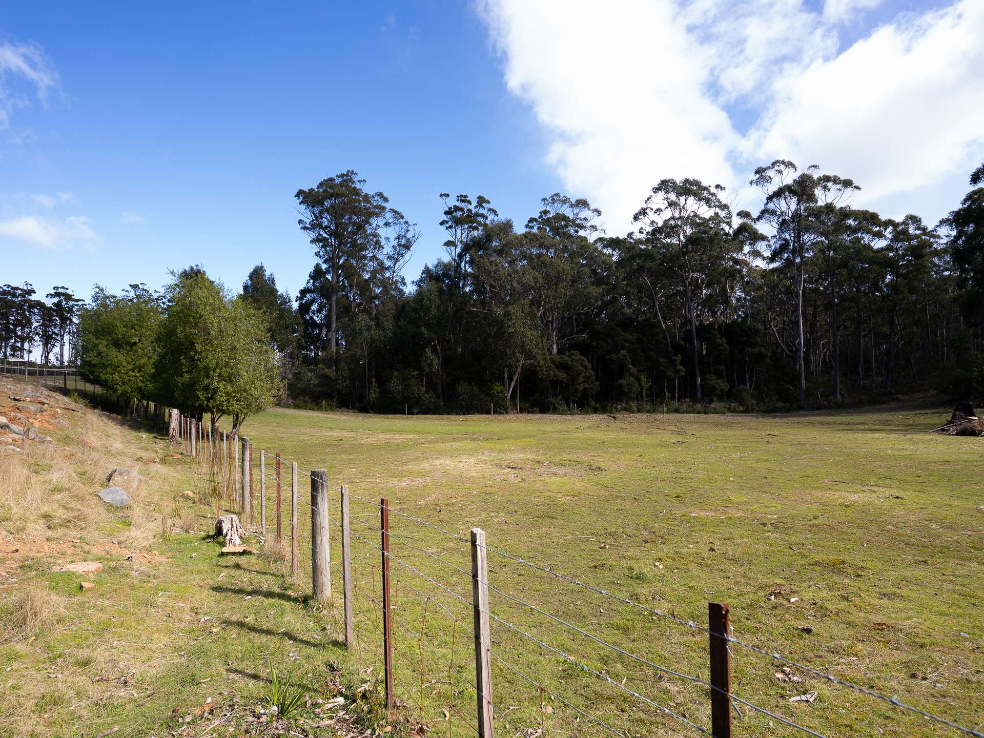 213 Wrenswood Drive, Quoiba For Sale by Farmbuy.com - image 9