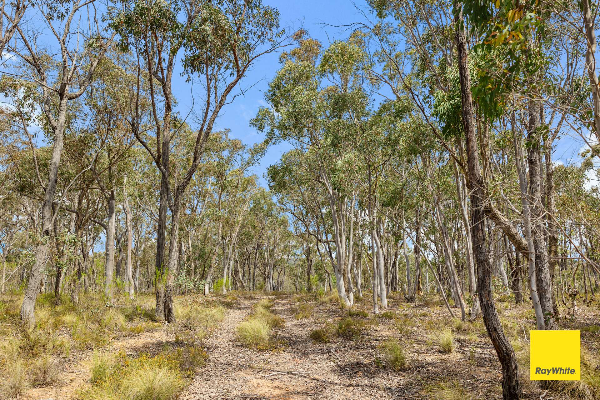 84 Canning Close, Wamboin For Sale by Farmbuy.com - image 26