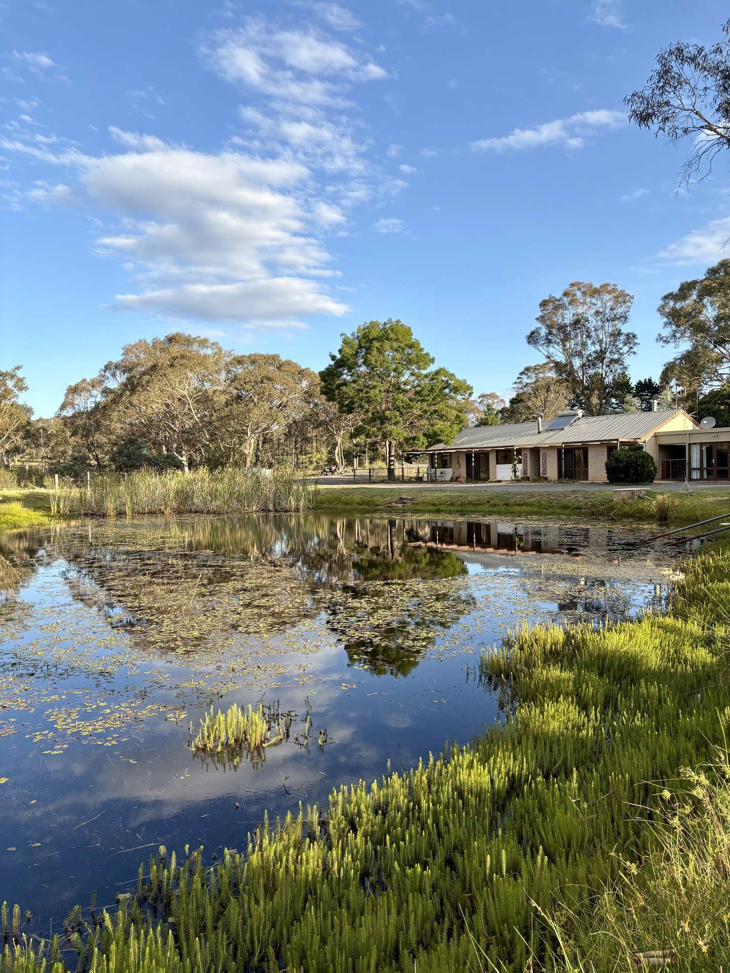 84 Canning Close, Wamboin For Sale by Farmbuy.com - image 6
