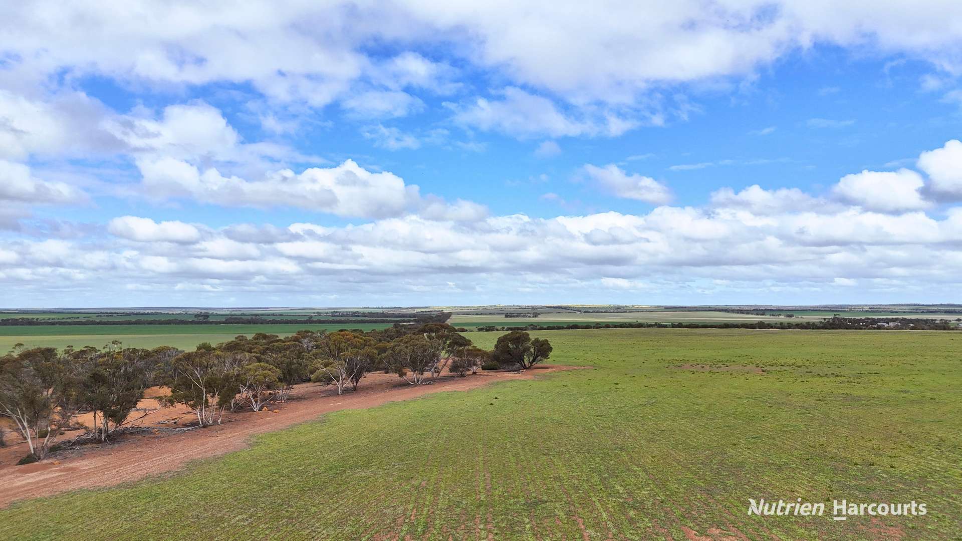Lot 1 Calzoni Road, Woolocutty Auction by Farmbuy.com - image 4