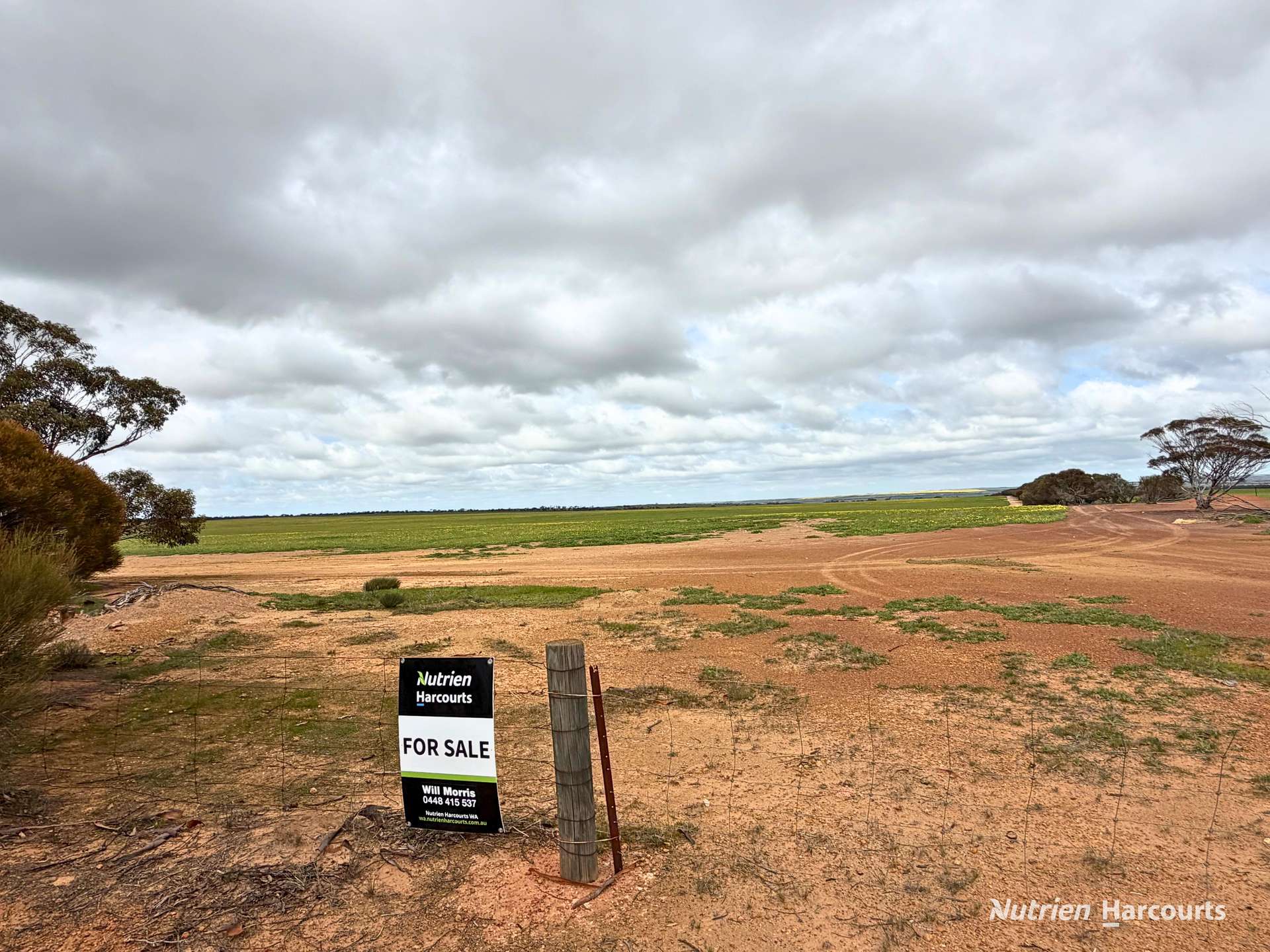 Lot 1 Calzoni Road, Woolocutty Auction by Farmbuy.com - image 8