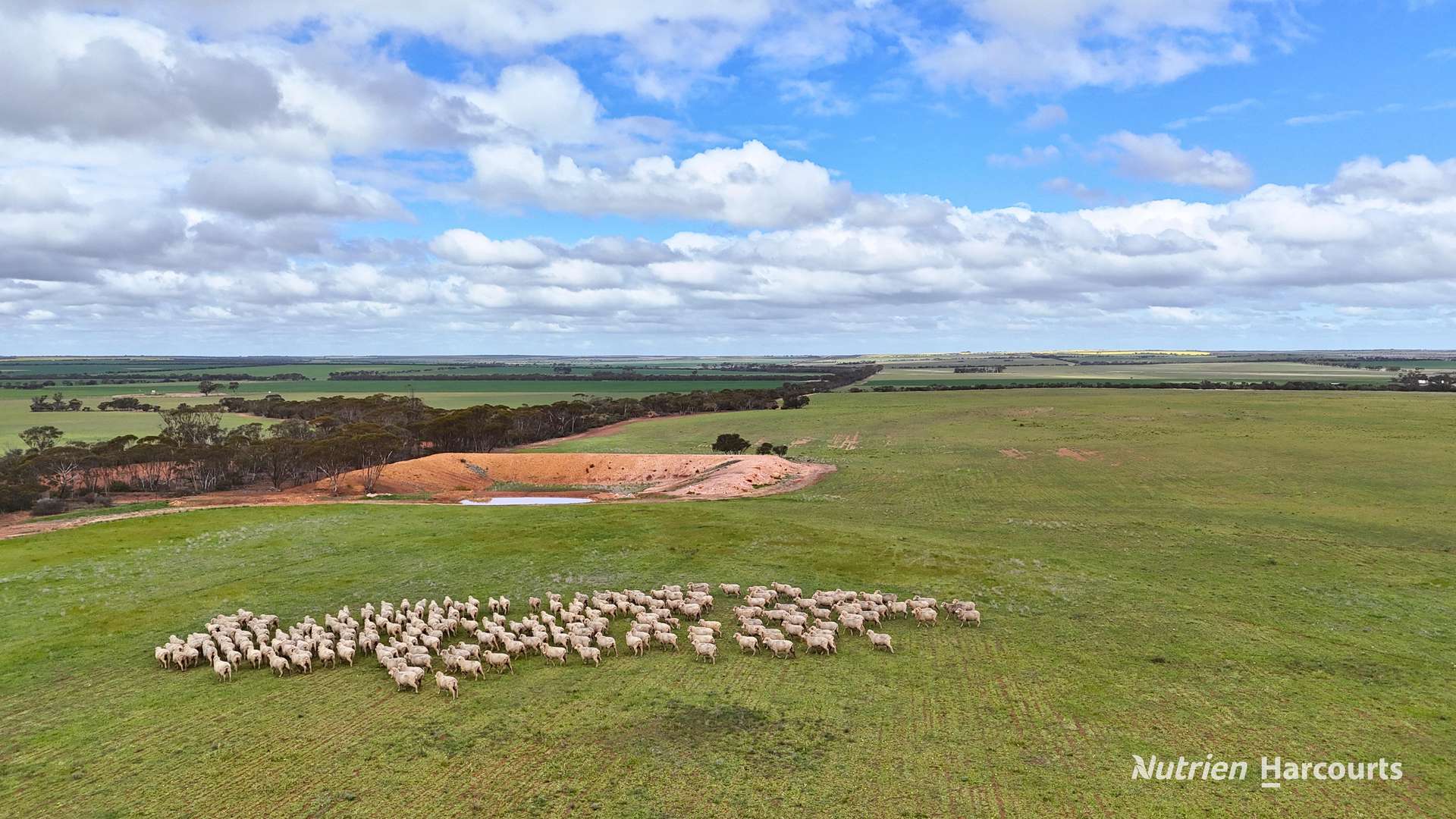 Lot 1 Calzoni Road, Woolocutty Auction by Farmbuy.com - image 19