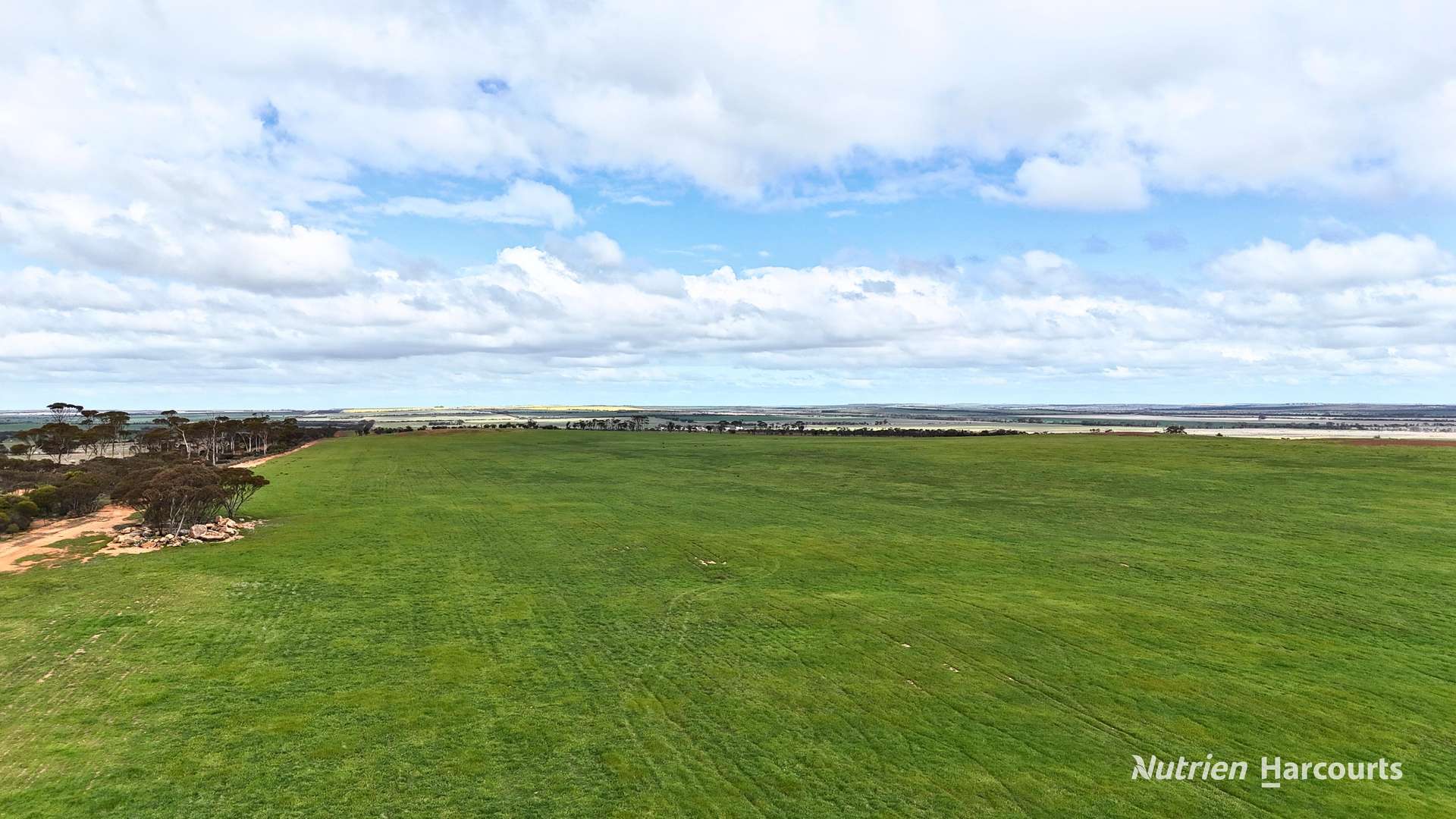 Lot 1 Calzoni Road, Woolocutty Auction by Farmbuy.com - image 12