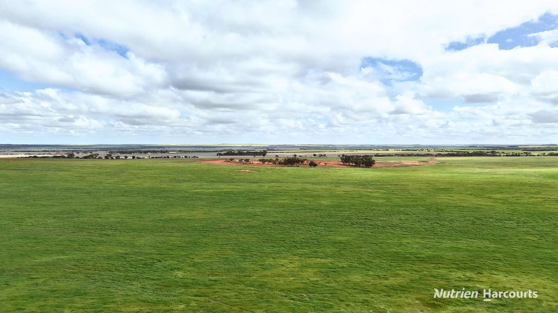 Lot 1 Calzoni Road, Woolocutty Auction by Farmbuy.com - image 23