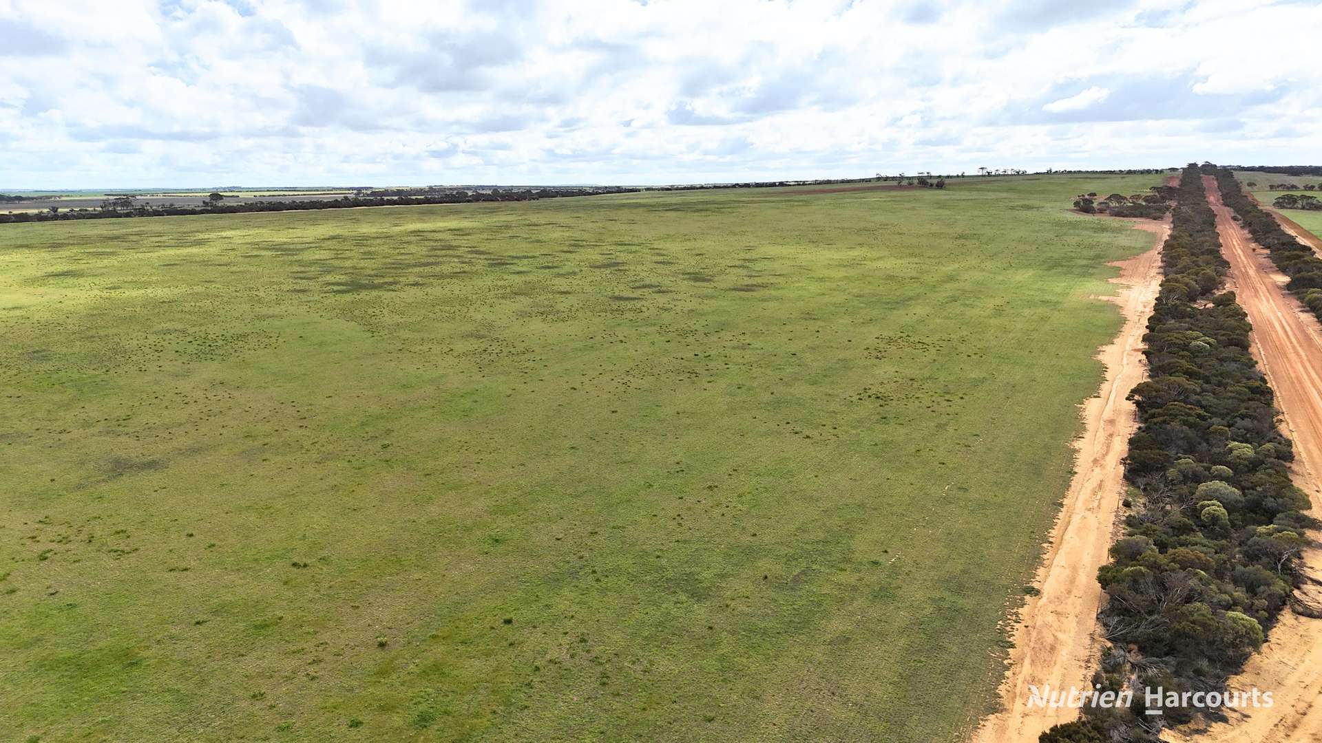 Lot 1 Calzoni Road, Woolocutty Auction by Farmbuy.com - image 21