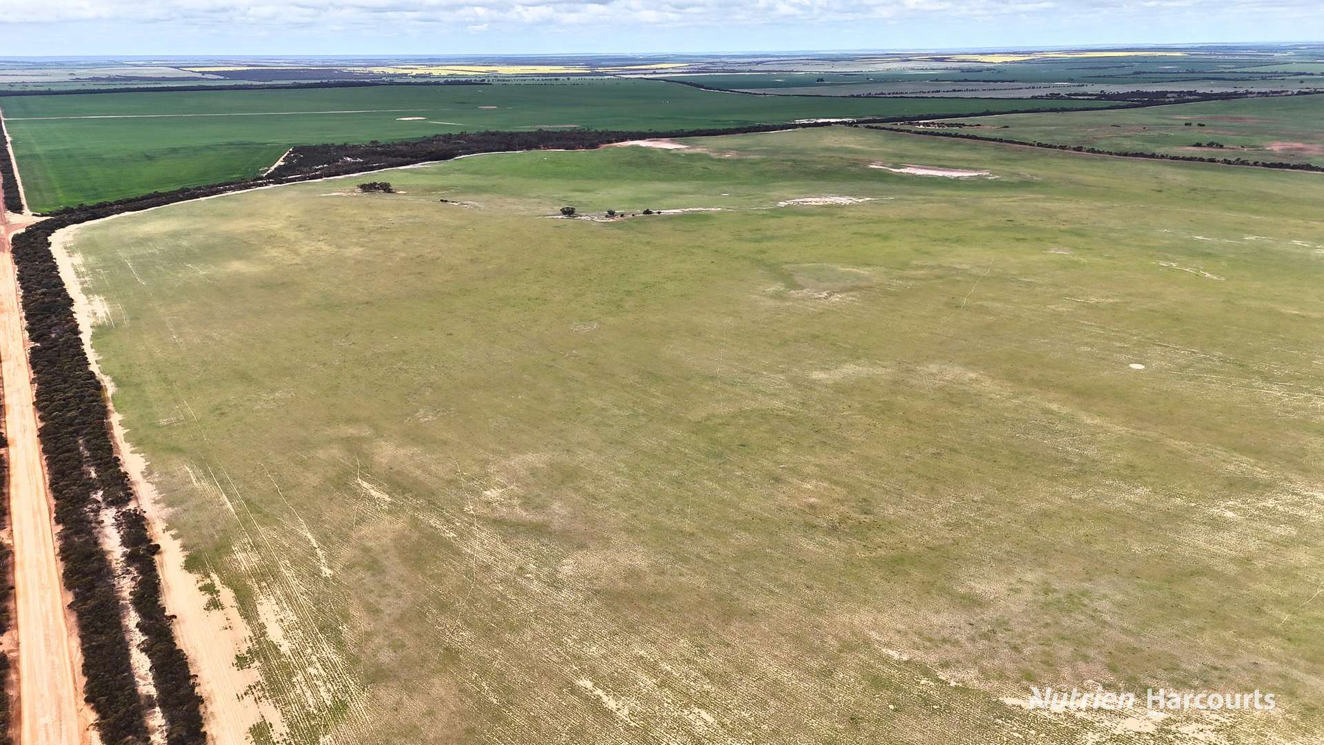 Lot 1 Calzoni Road, Woolocutty Auction by Farmbuy.com - image 14