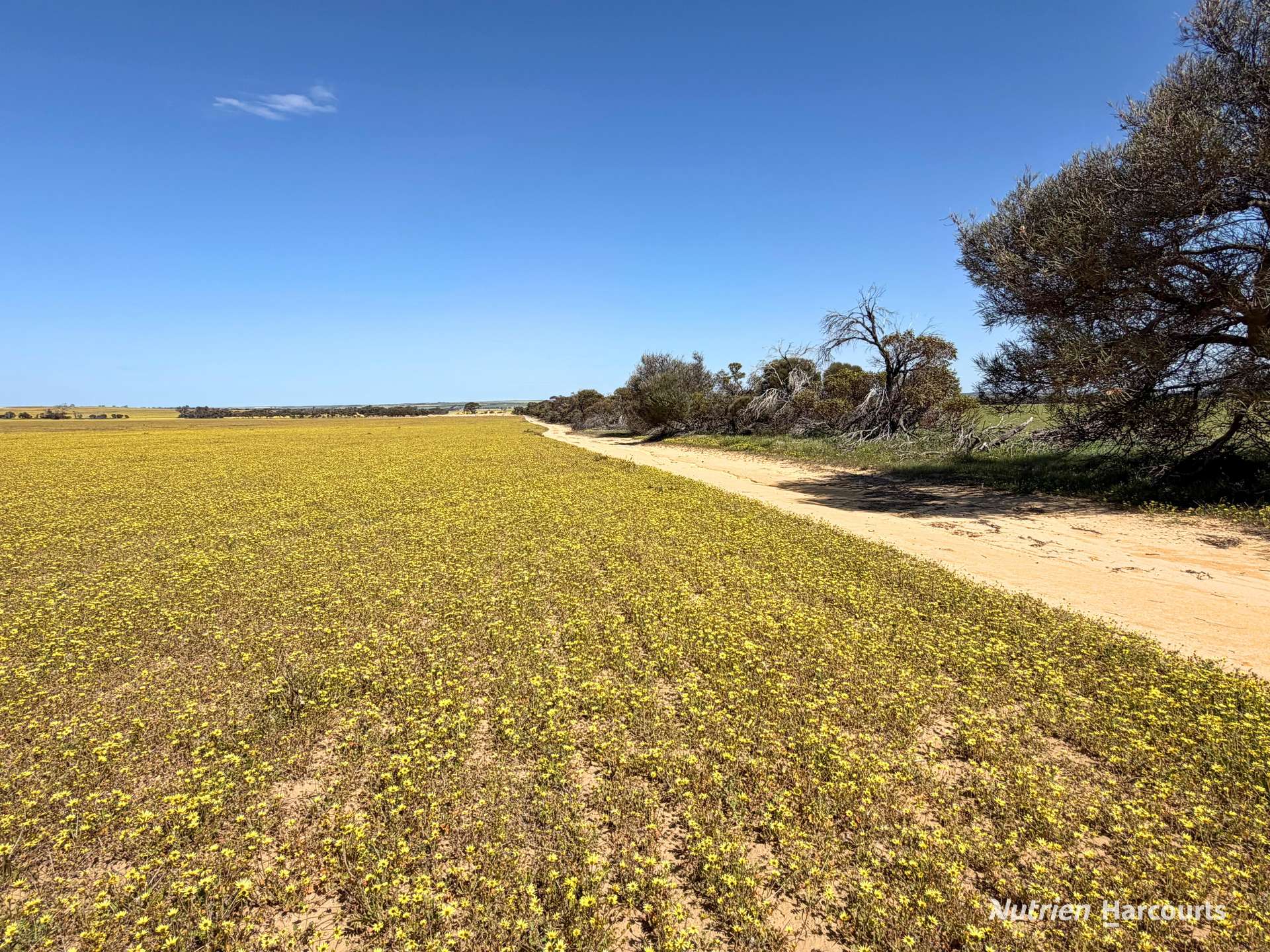 Lot 1 Calzoni Road, Woolocutty Auction by Farmbuy.com - image 11