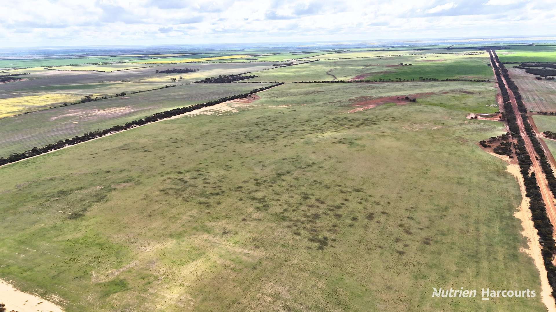 Lot 1 Calzoni Road, Woolocutty Auction by Farmbuy.com - image 20