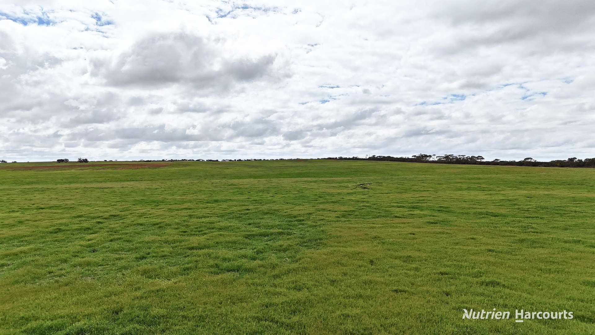 Lot 1 Calzoni Road, Woolocutty Auction by Farmbuy.com - image 13