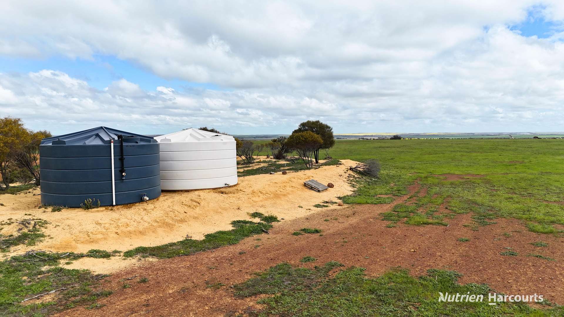 Lot 1 Calzoni Road, Woolocutty Auction by Farmbuy.com - image 6