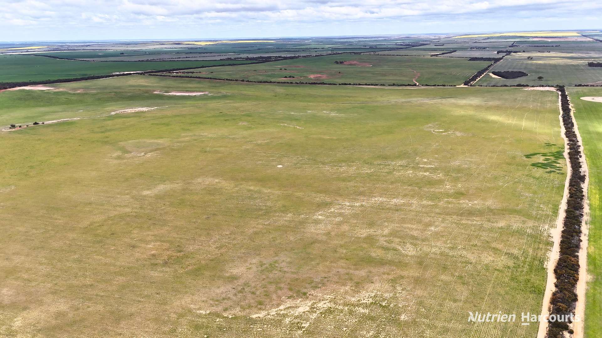Lot 1 Calzoni Road, Woolocutty Auction by Farmbuy.com - image 22