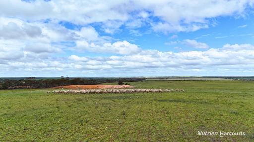 Lot 1 Calzoni Road, Woolocutty WA 6369