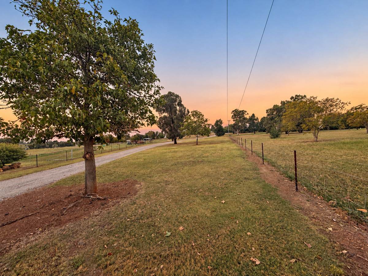 10 Pine Hill Road, Gunnedah For Sale by Farmbuy.com - image 19