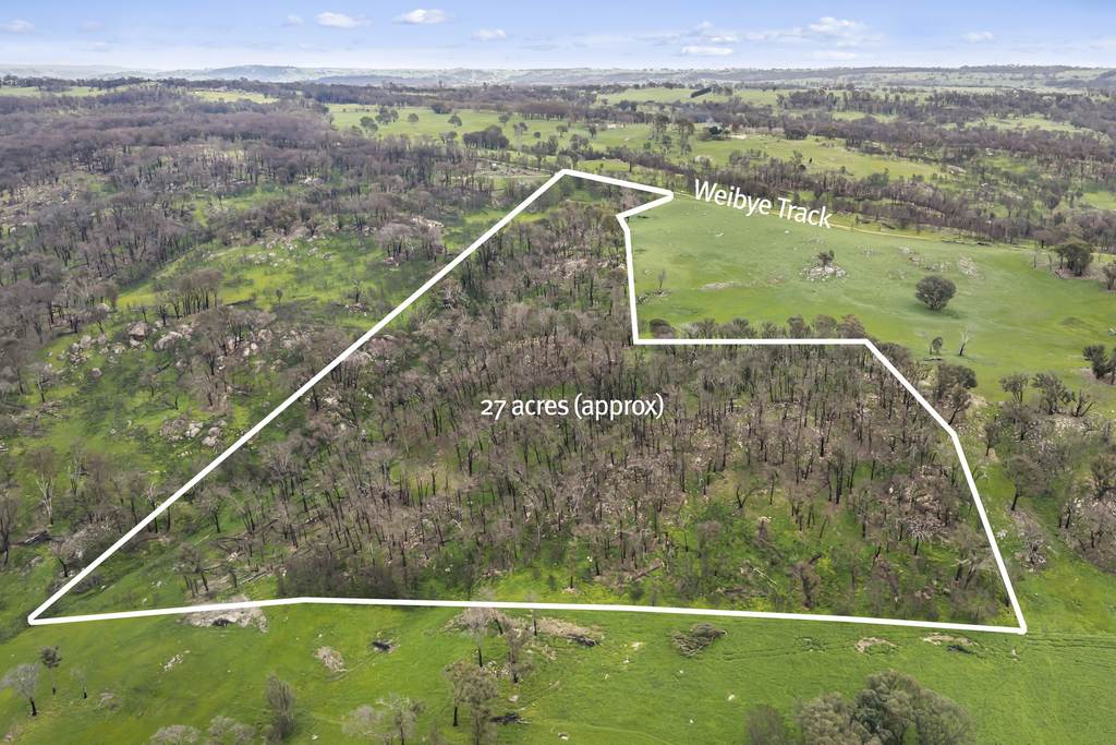 806 Weibye Track, Creightons Creek VIC 3666