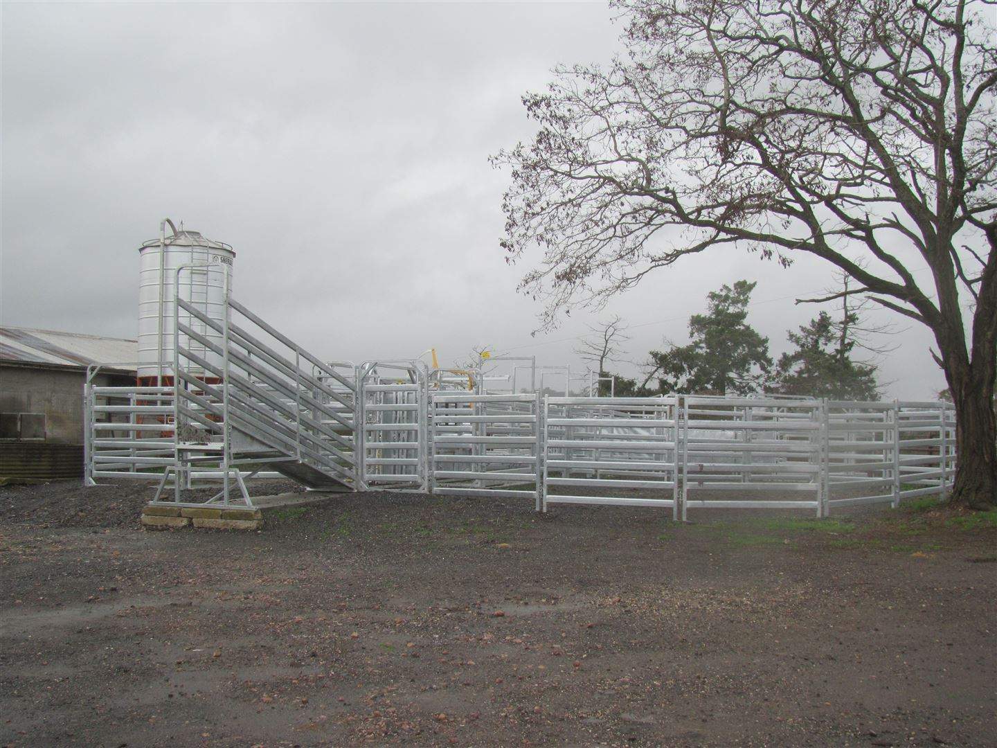 5329 Bass Highway, Deloraine For Sale by Farmbuy.com - image 17