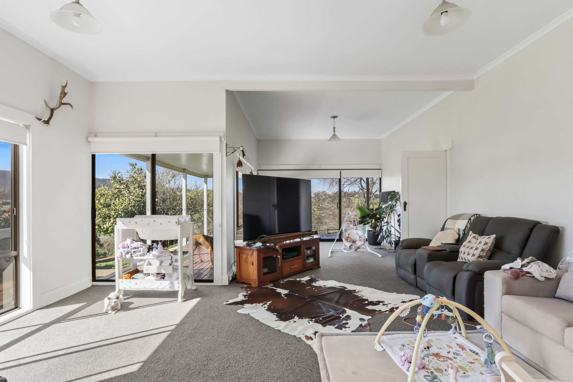 5329 Bass Highway, Deloraine For Sale by Farmbuy.com - image 7
