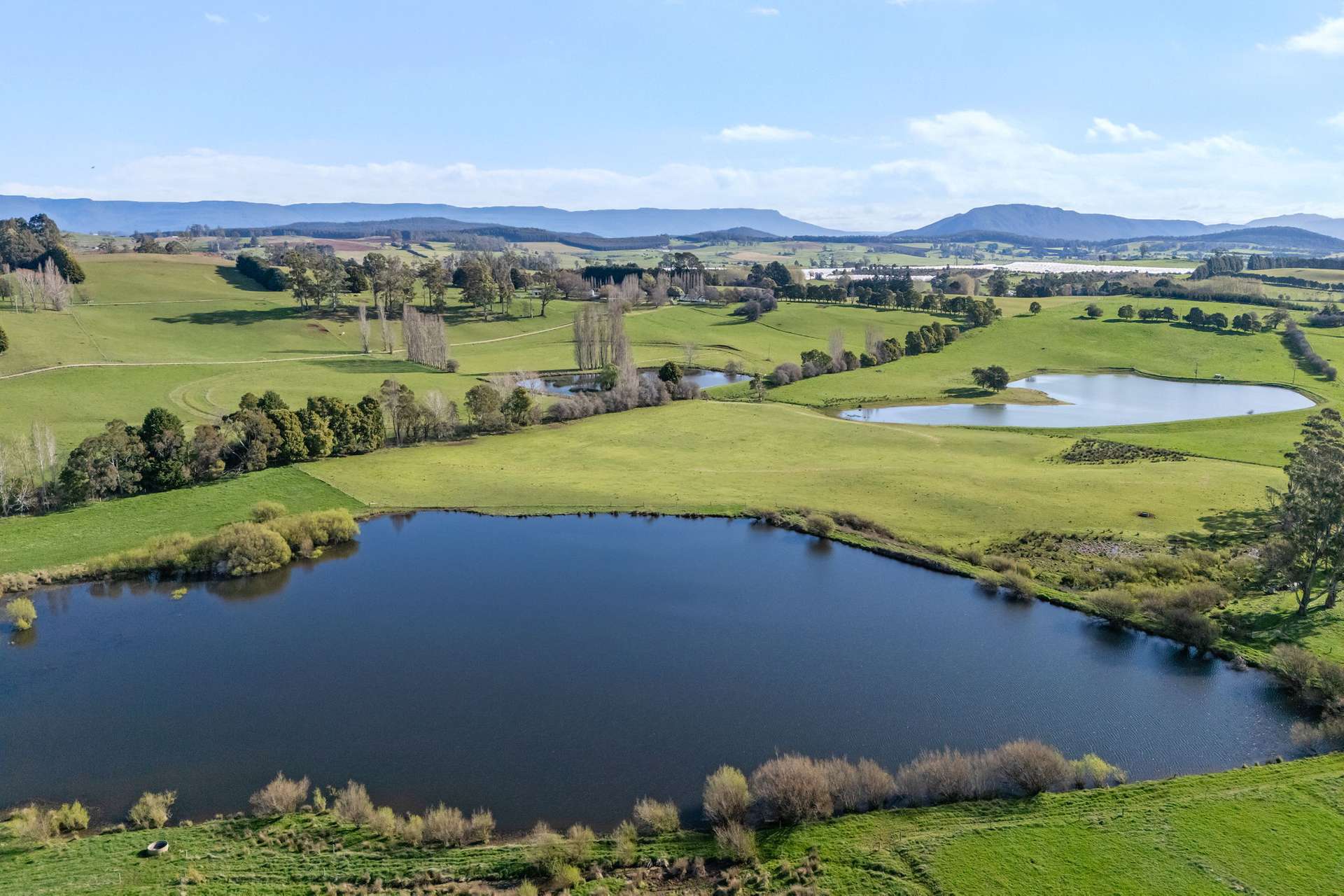 5329 Bass Highway, Deloraine For Sale by Farmbuy.com - image 31