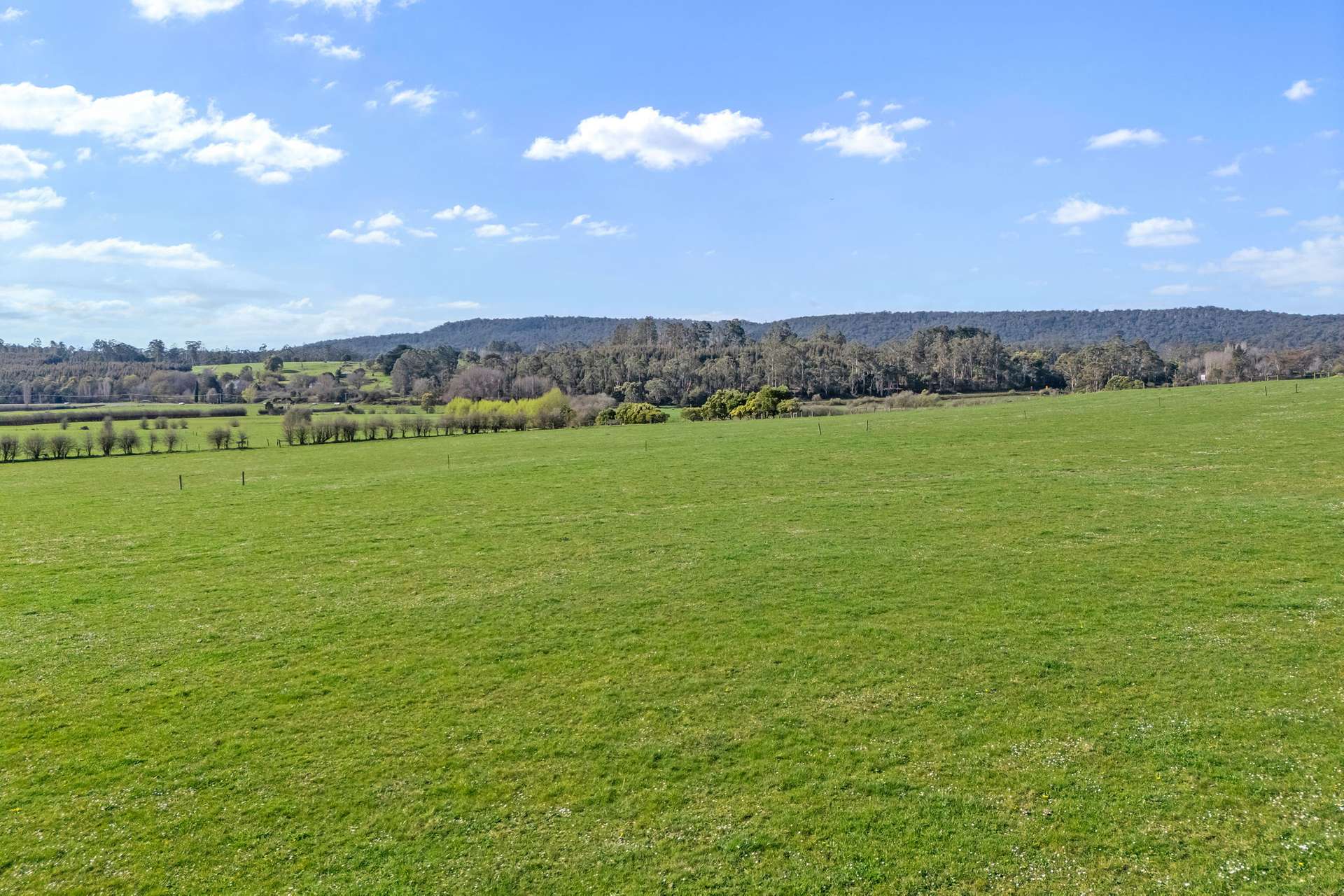 5329 Bass Highway, Deloraine For Sale by Farmbuy.com - image 23