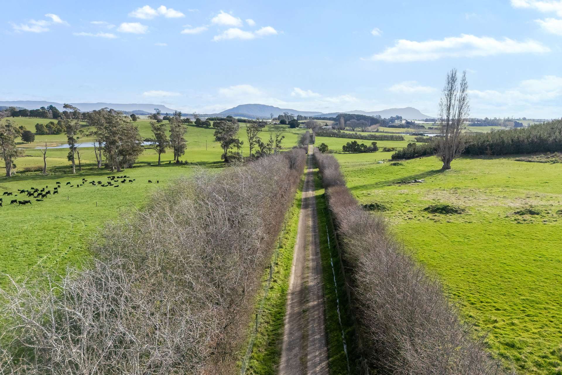 5329 Bass Highway, Deloraine For Sale by Farmbuy.com - image 27