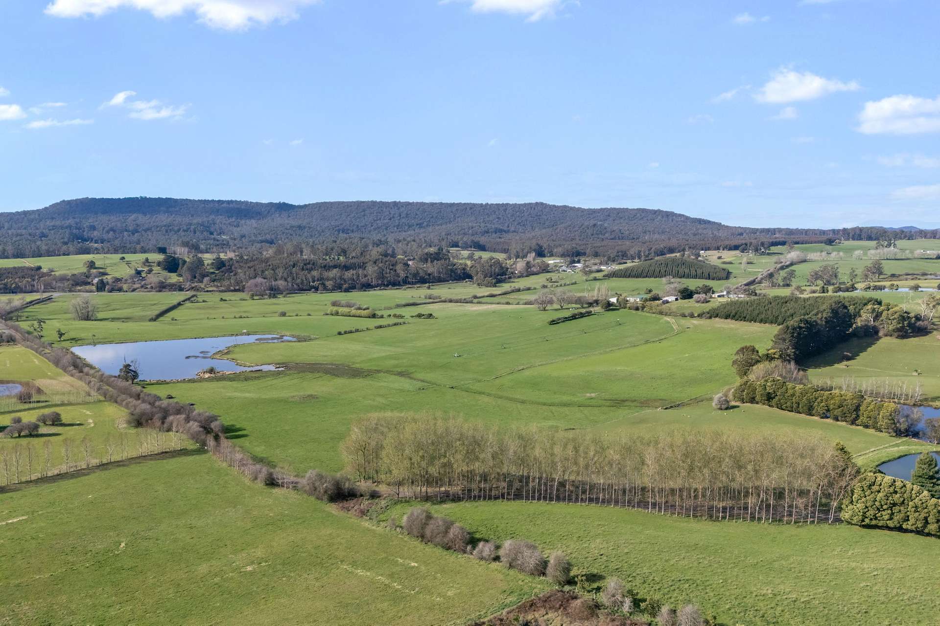 5329 Bass Highway, Deloraine For Sale by Farmbuy.com - image 2