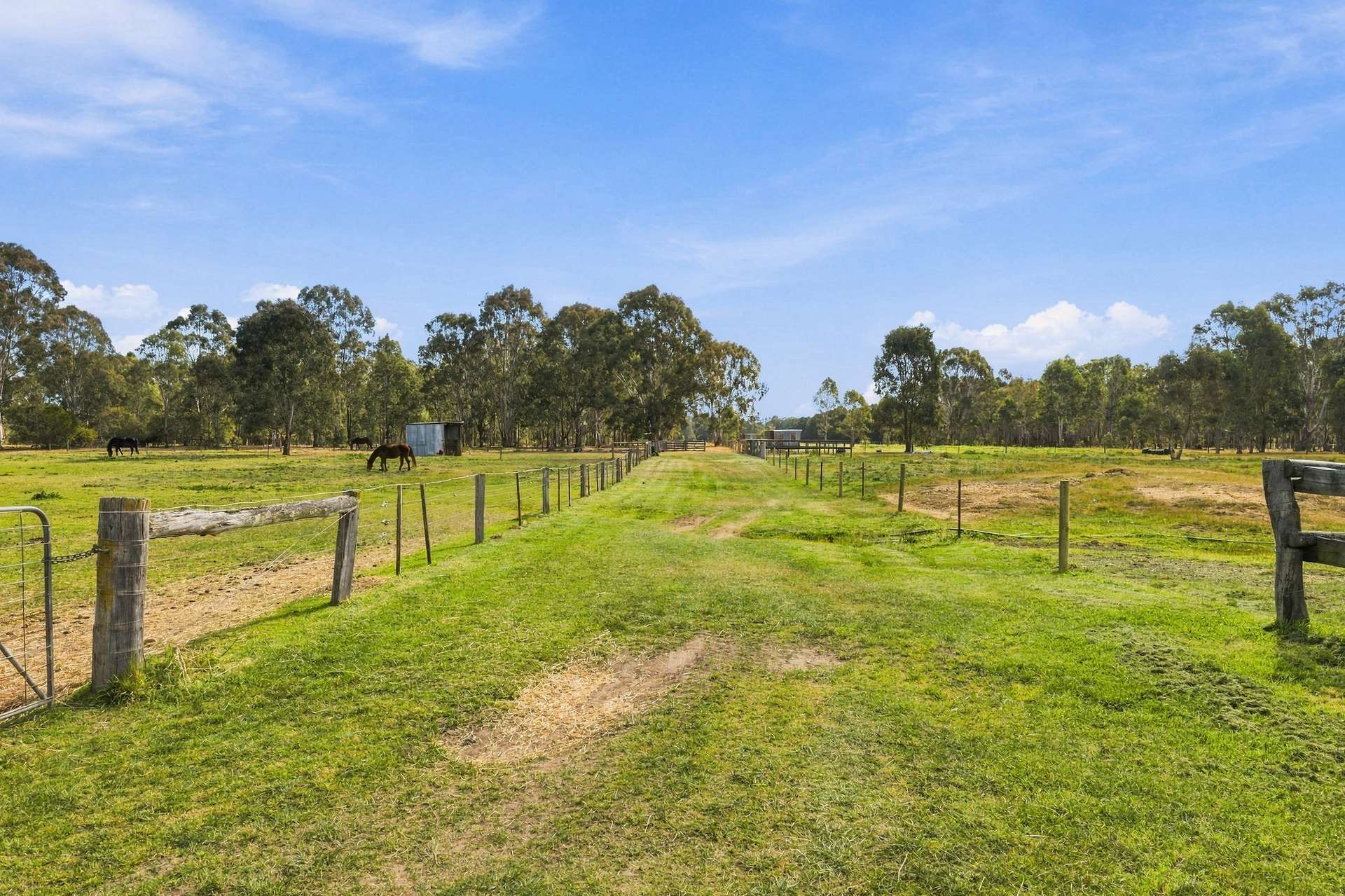 629 Boundary Road, Briagolong For Sale by Farmbuy.com - image 23