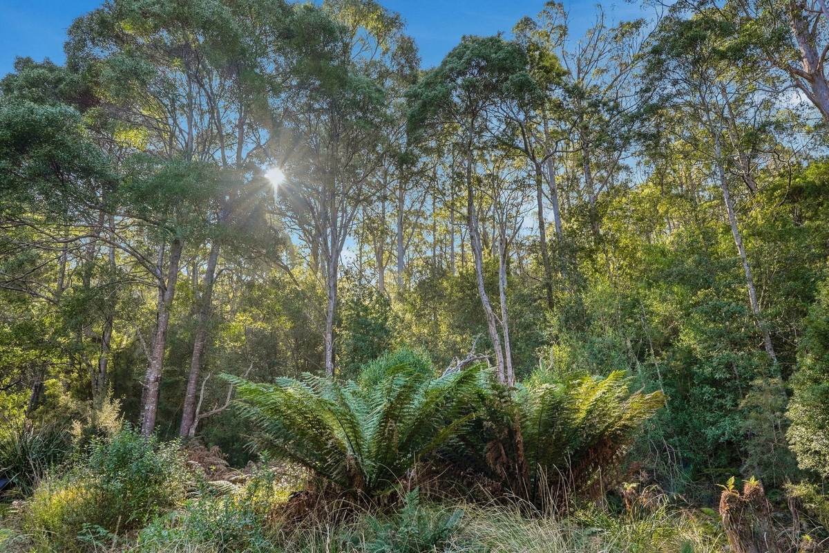 139 Pirates Bay Drive, Eaglehawk Neck For Sale by Farmbuy.com - image 3