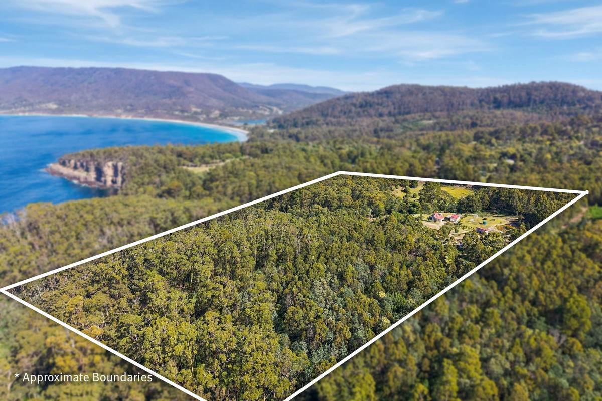 139 Pirates Bay Drive, Eaglehawk Neck For Sale by Farmbuy.com - image 26
