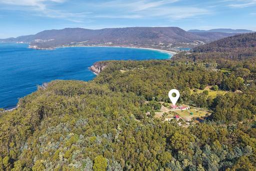 Farm For Sale - TAS - Eaglehawk Neck - 7179 - Twenty-five acres. Two dwellings. One boundary that never changes. 