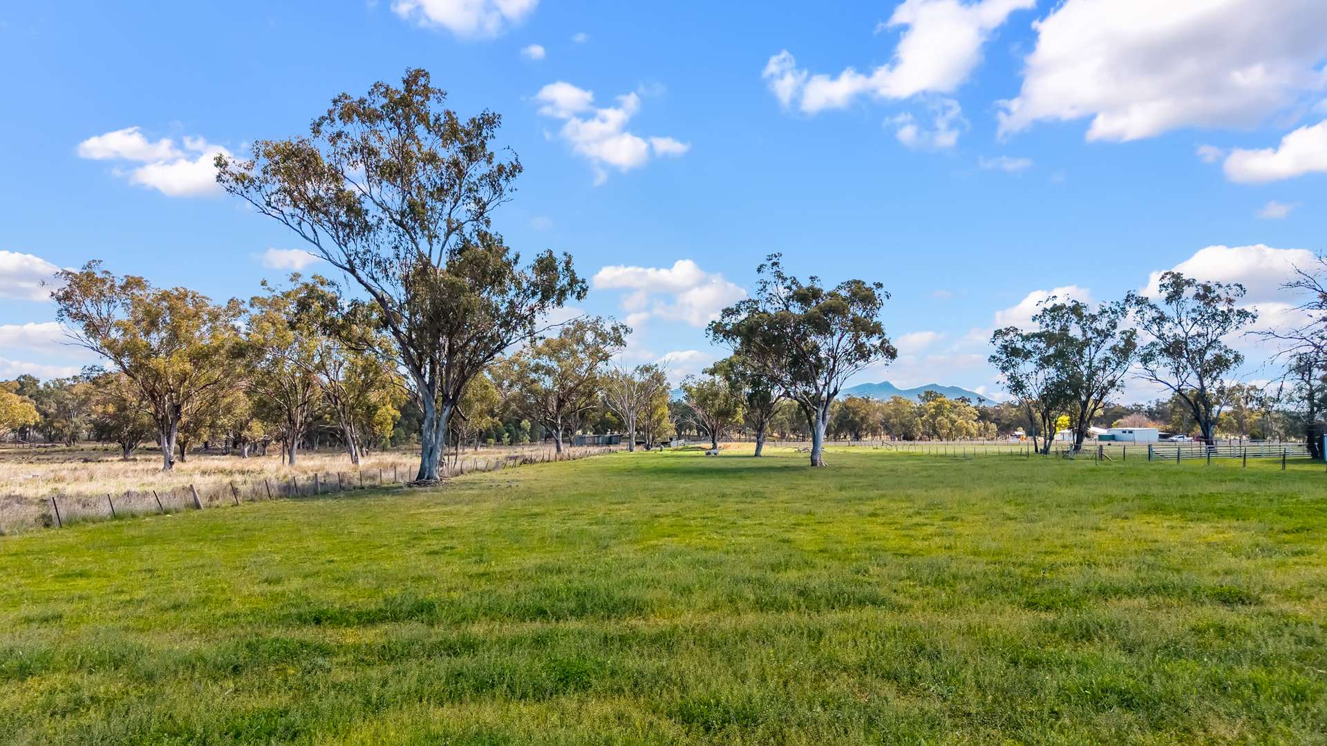 119 Skeltons Lane, Tamworth Auction by Farmbuy.com - image 4