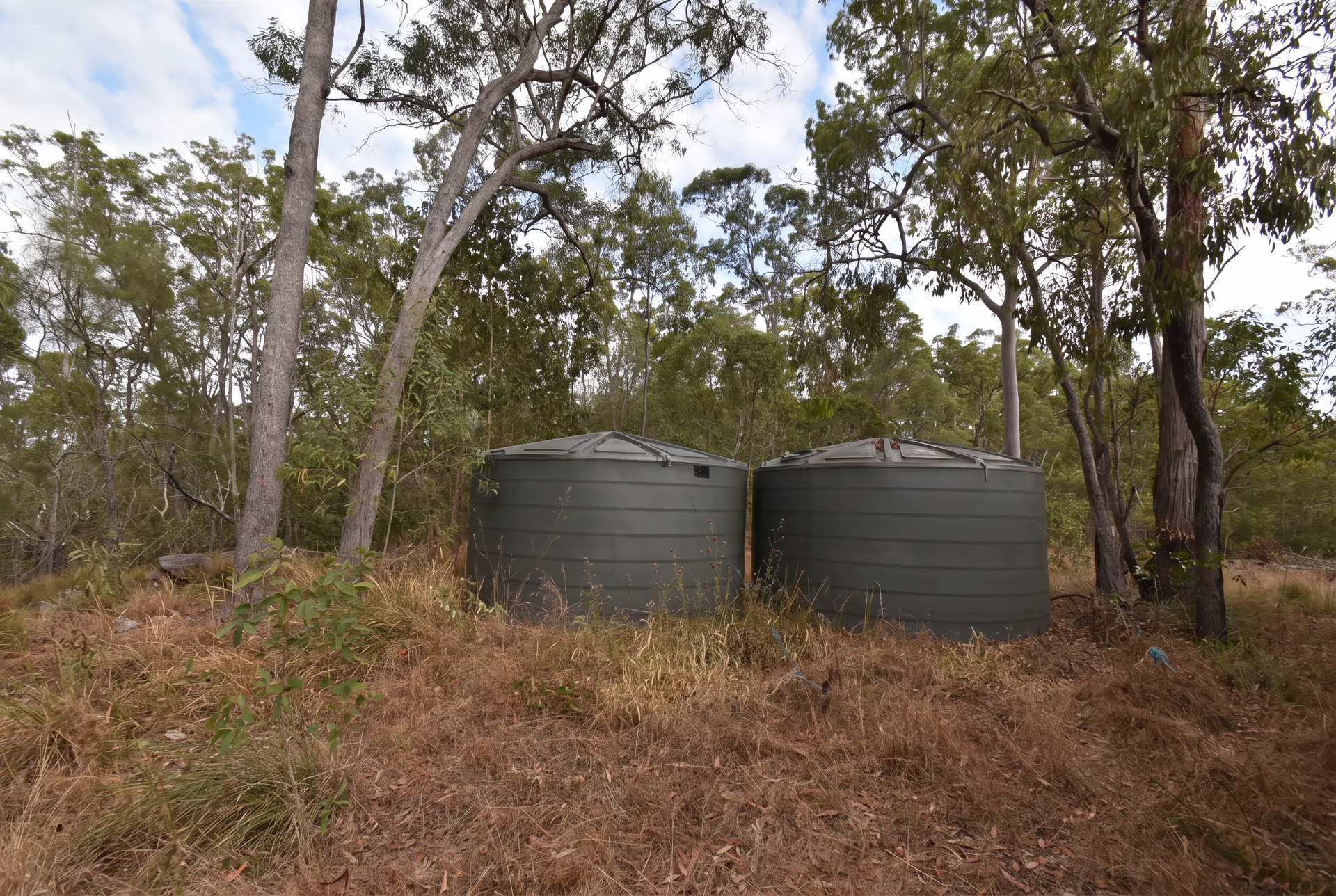 66 Chappell Hills Road, South Isis For Sale by Farmbuy.com - image 3