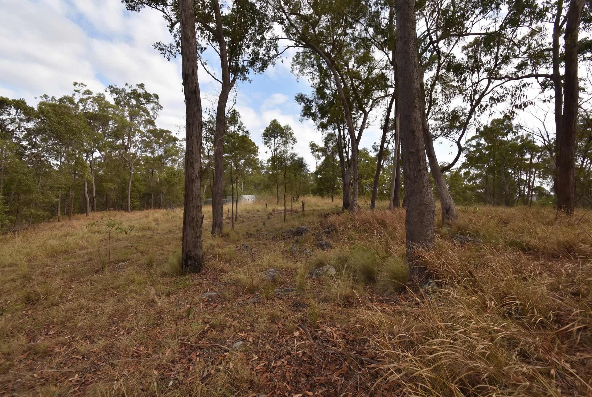 66 Chappell Hills Road, South Isis For Sale by Farmbuy.com - image 10