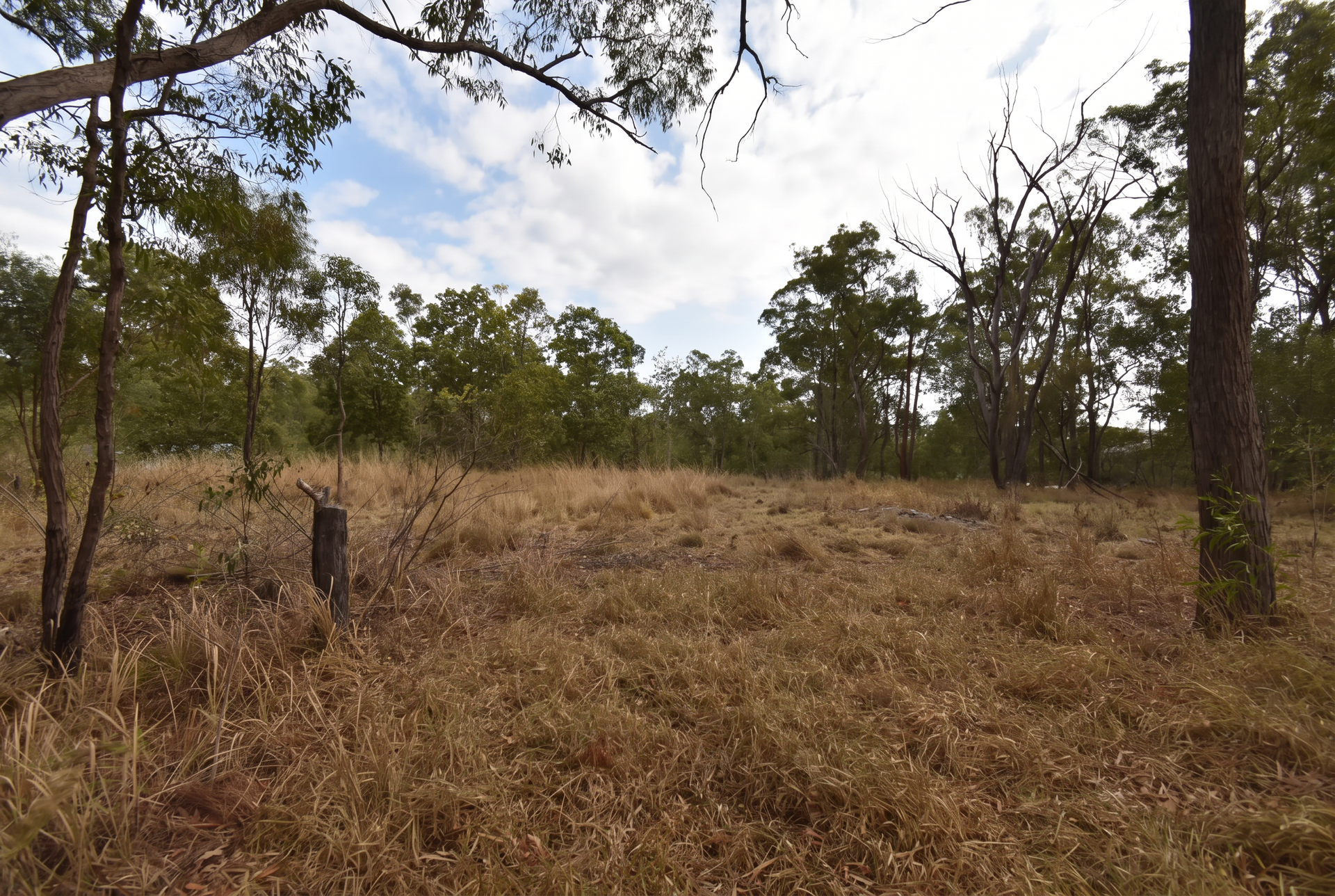 66 Chappell Hills Road, South Isis For Sale by Farmbuy.com - image 11