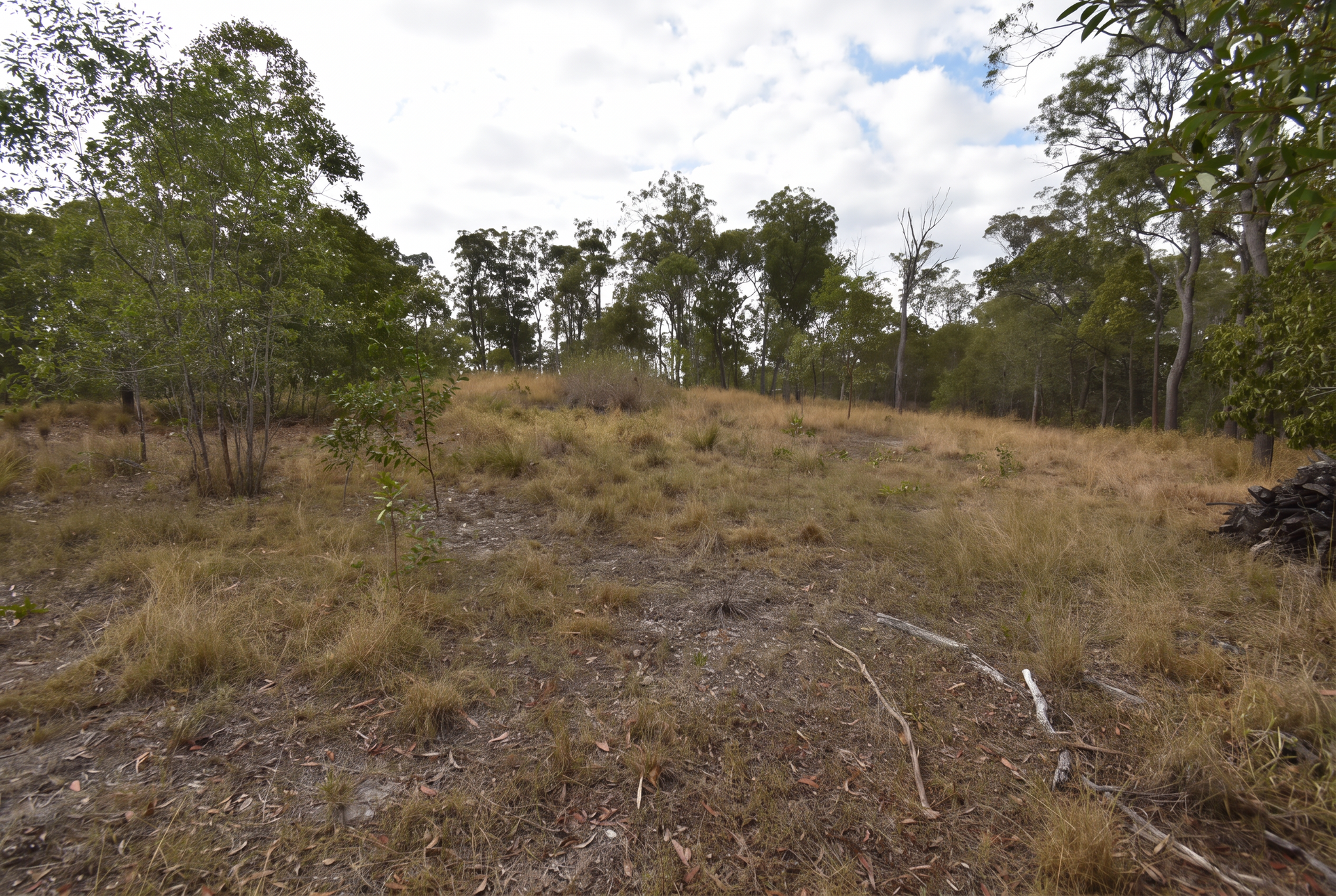 66 Chappell Hills Road, South Isis For Sale by Farmbuy.com - image 9